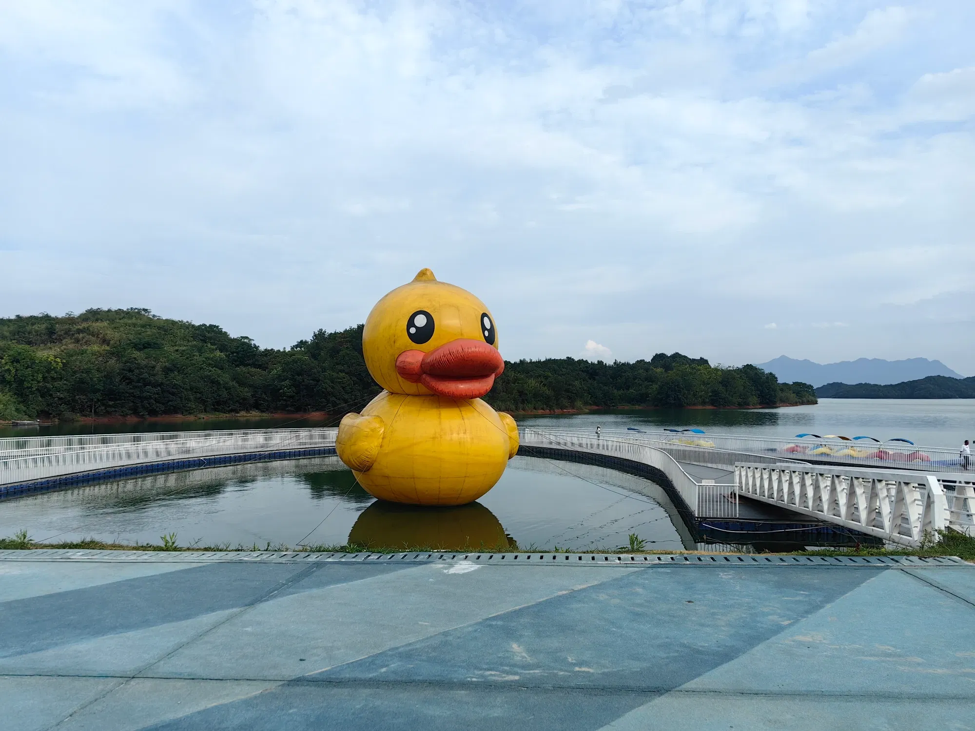 FG9TB89pC9tms488_IMG_20250810_164310.webp