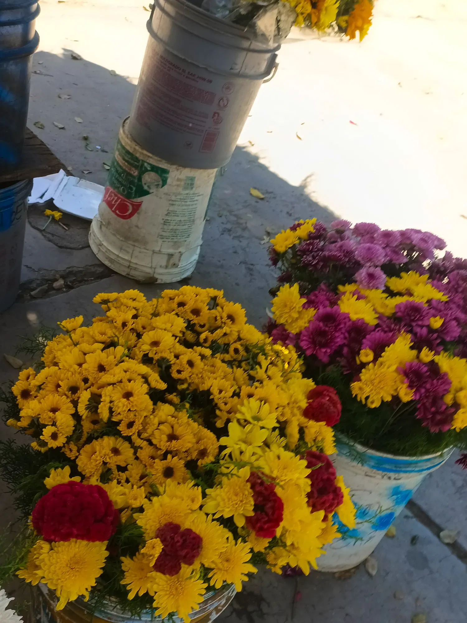 5iO5m9NgoREJjQMI_IMG_20250921_125701_1.webp