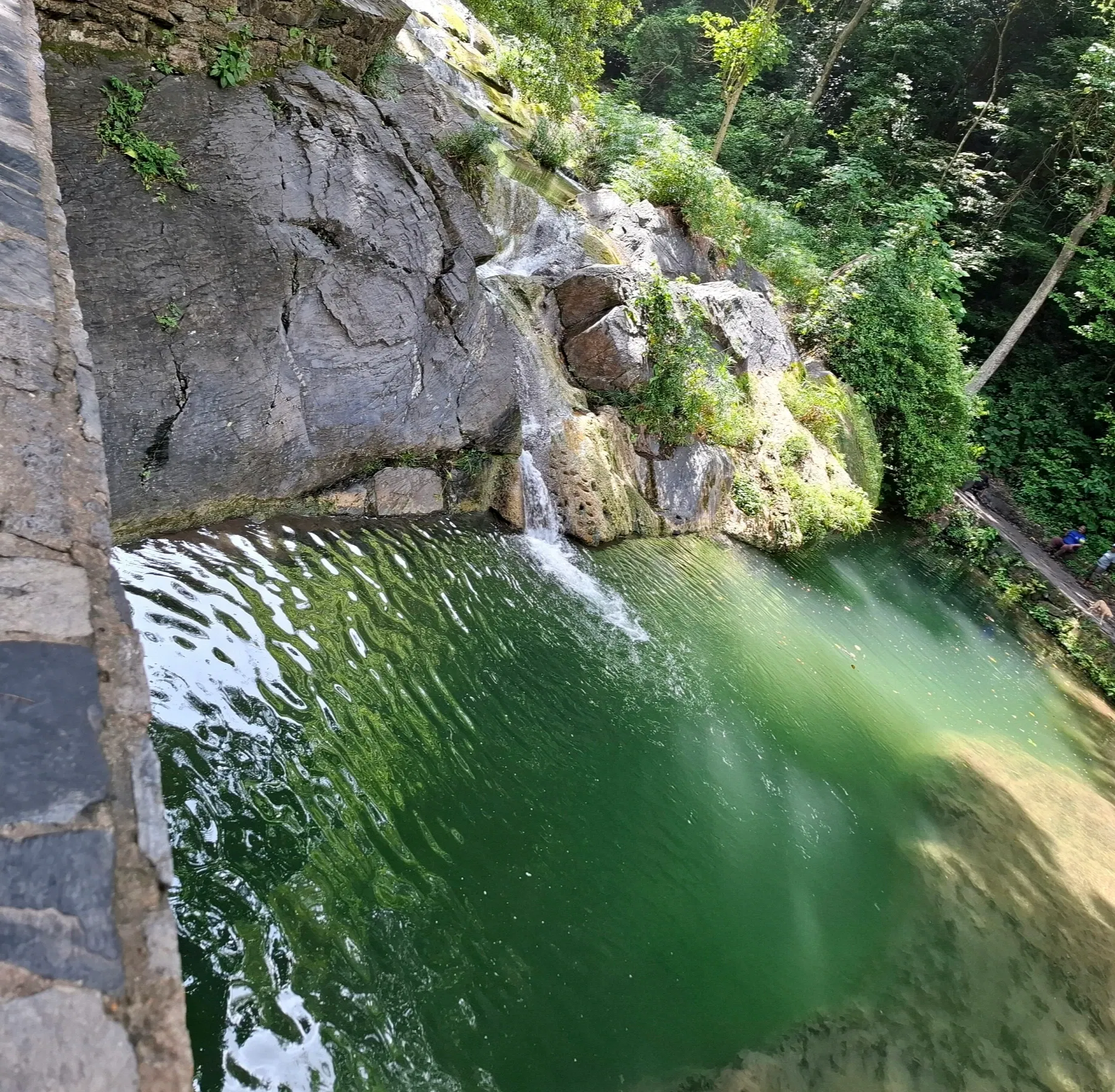 6c1sbTYfZrWHiln5_1000270017.webp