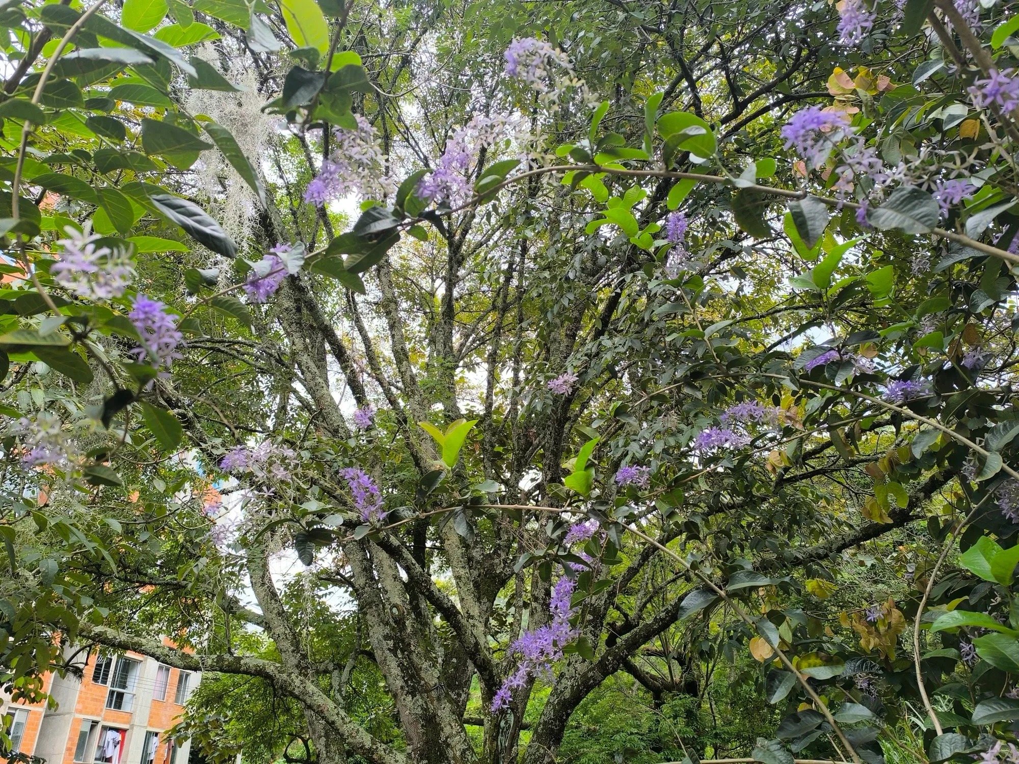3vudnovy86wq2fQv_1000072681.webp