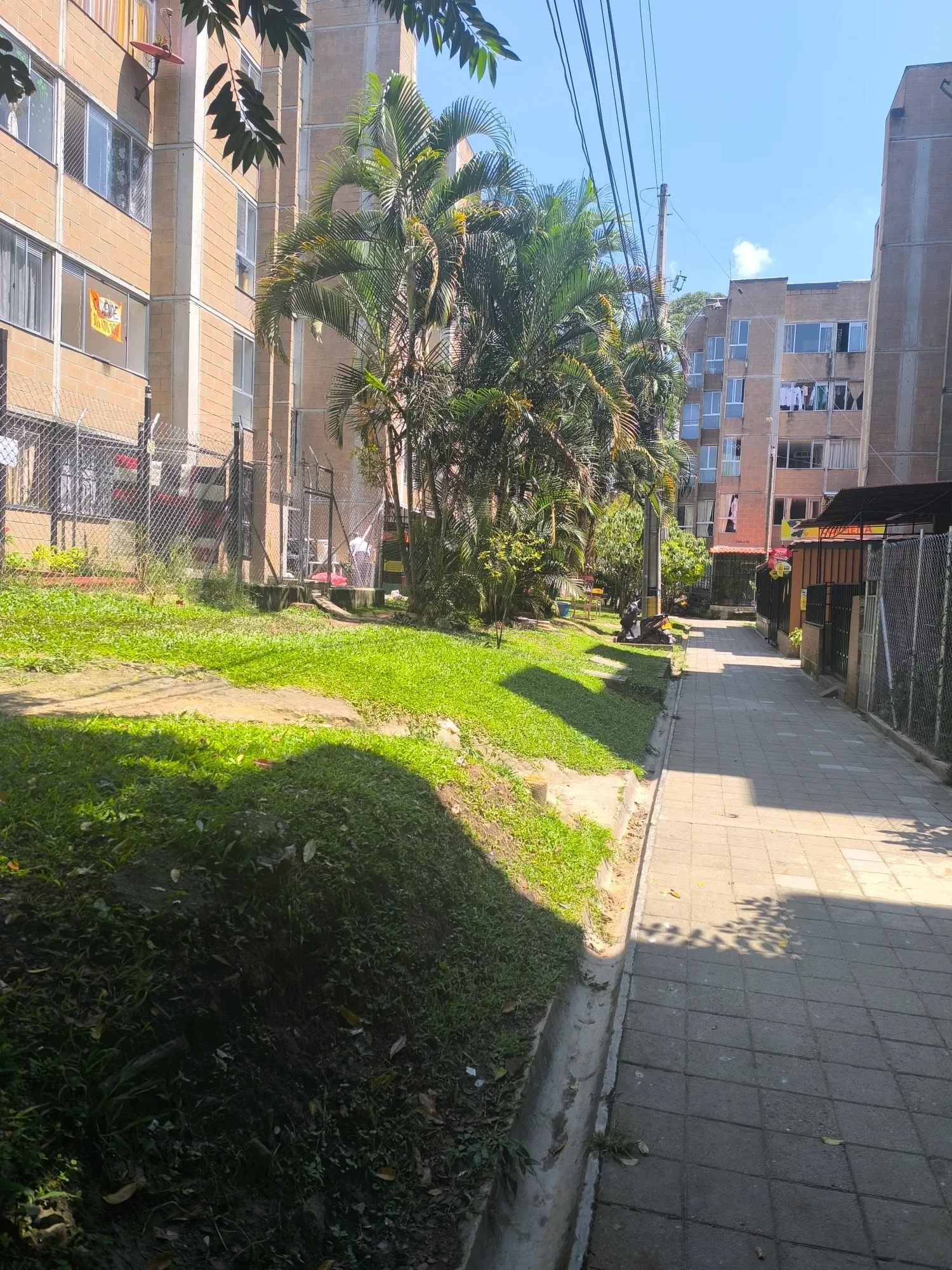 5mVbsXWzpZj4jsQP_1000071270.webp
