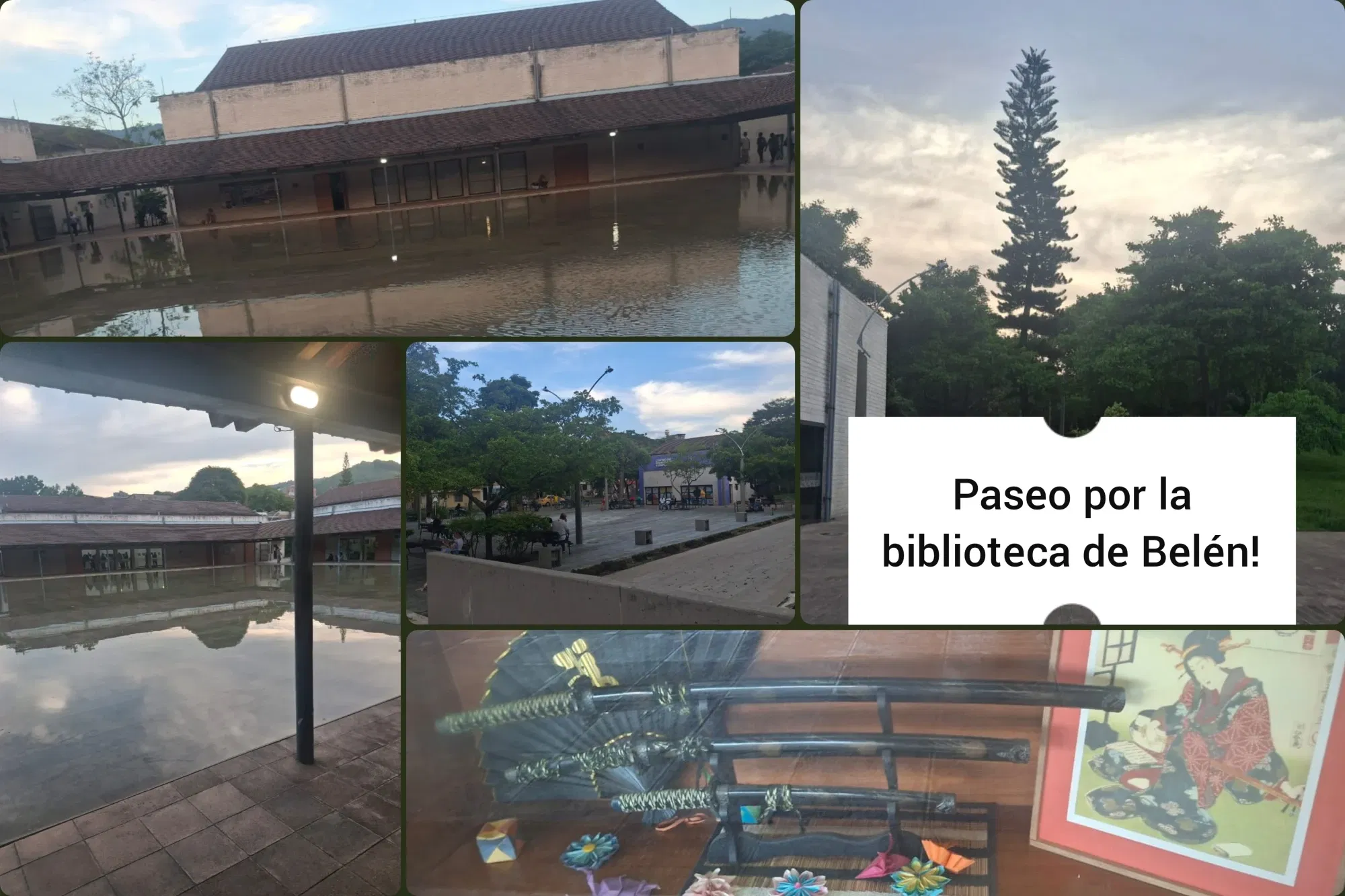 wk0dlSeRqAc…
Payout: 0.907 HBDWalking through the library of Belén, Medellín/ESP-ENG
2025-09-19 22:56<liketuimages> <center> ![BGXQ4B7RQPMaa4an_1000075367.webp