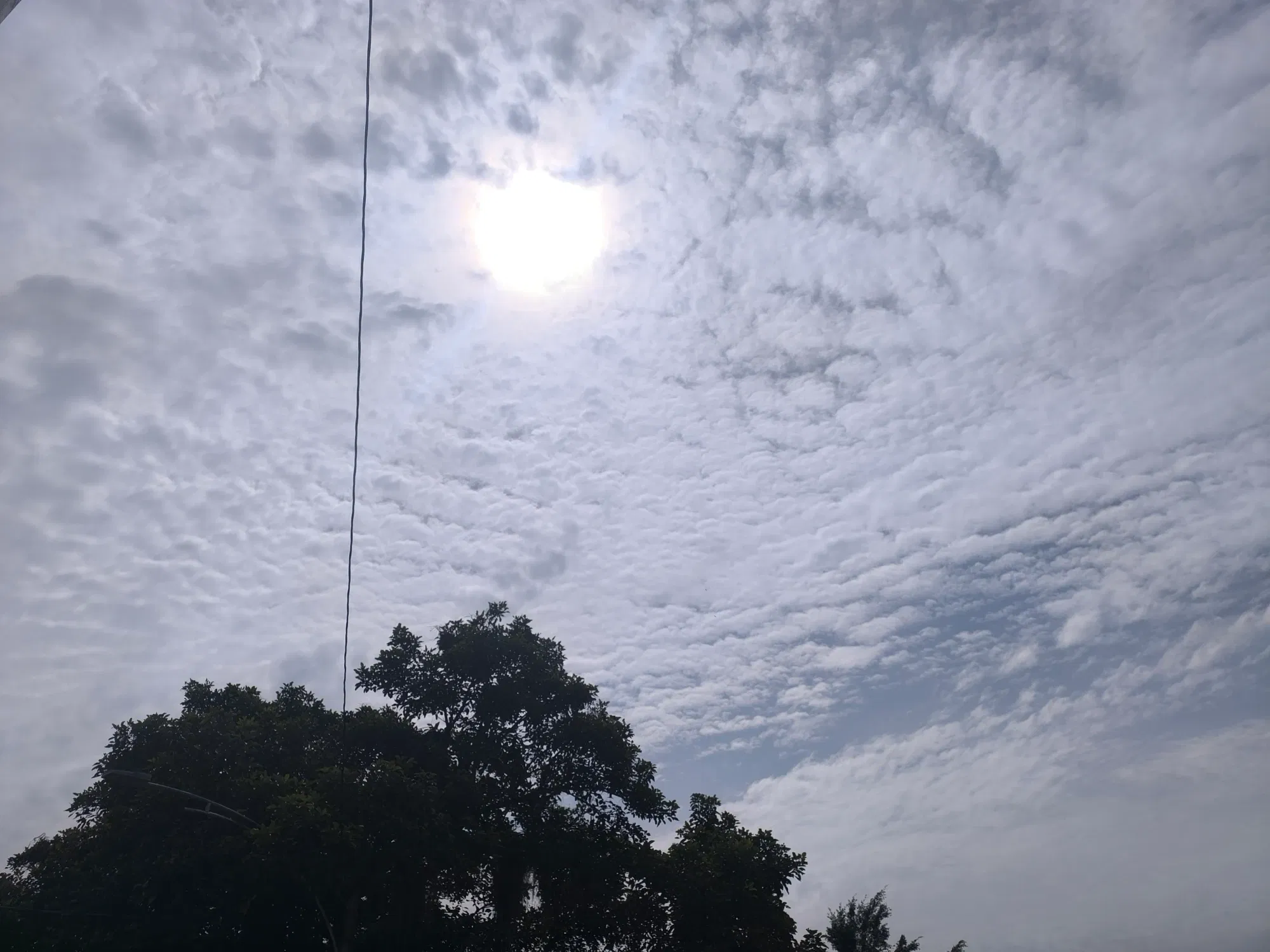 GJ6QgdkHSu8WolK3_1000076605.webp
