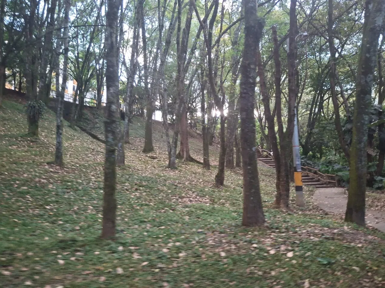 OqVL69ad47cnmOVS_1000068344.webp