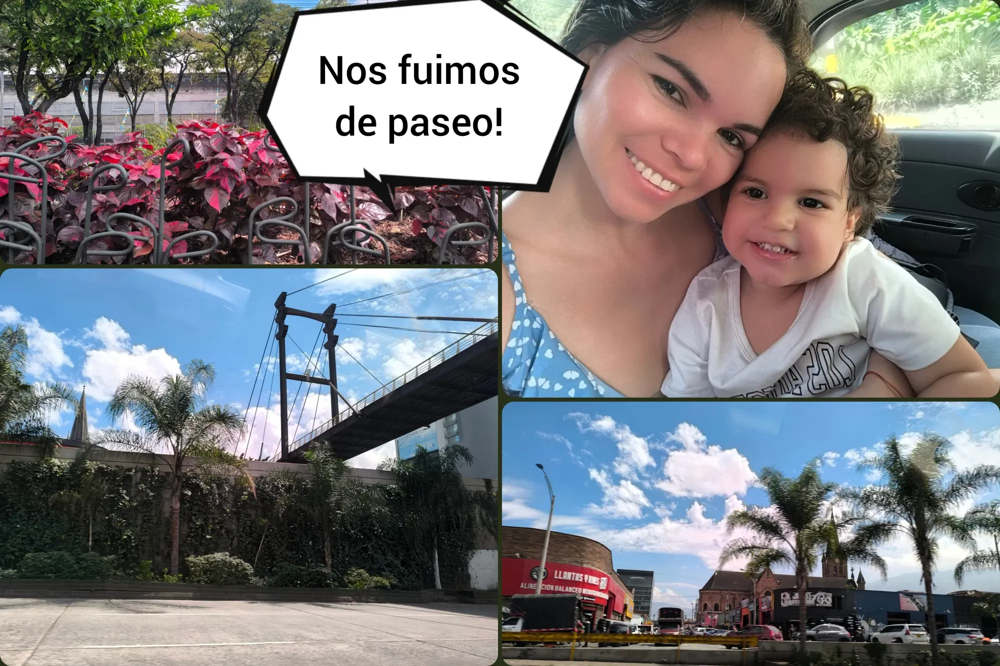QMj73dagolSn9FuE_1000073724.webp