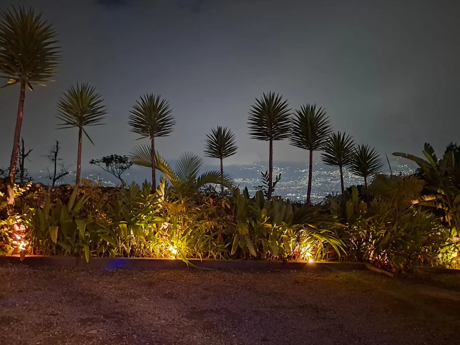 RhMdSwGBcEtfekeT_1000066591.webp