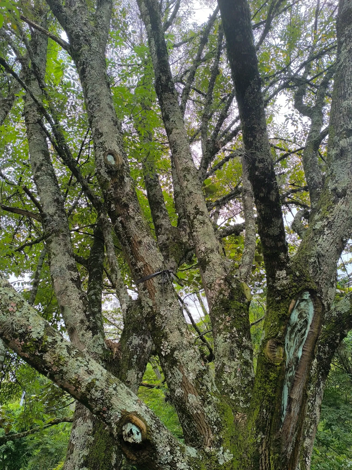 h2DRHi8ojjes86Yx_1000072689.webp