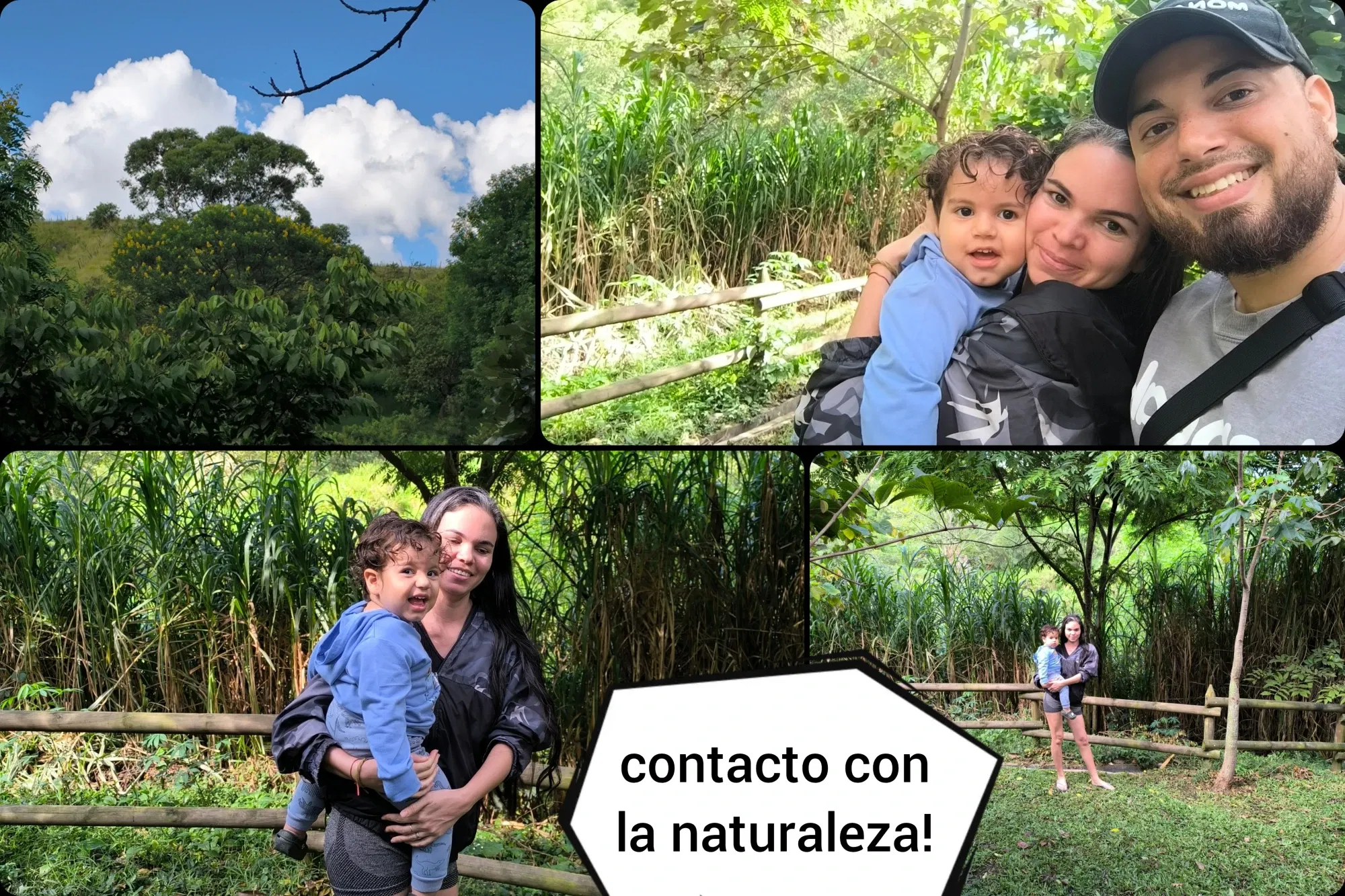 Fp9YDoZqRlK…
Payout: 0.000 HBDContacto con la naturaleza/ ESP-ENG
2025-07-28 18:26<liketuimages> <center> ![hAO8WVrnOxDhXgMY_1000068527.webp