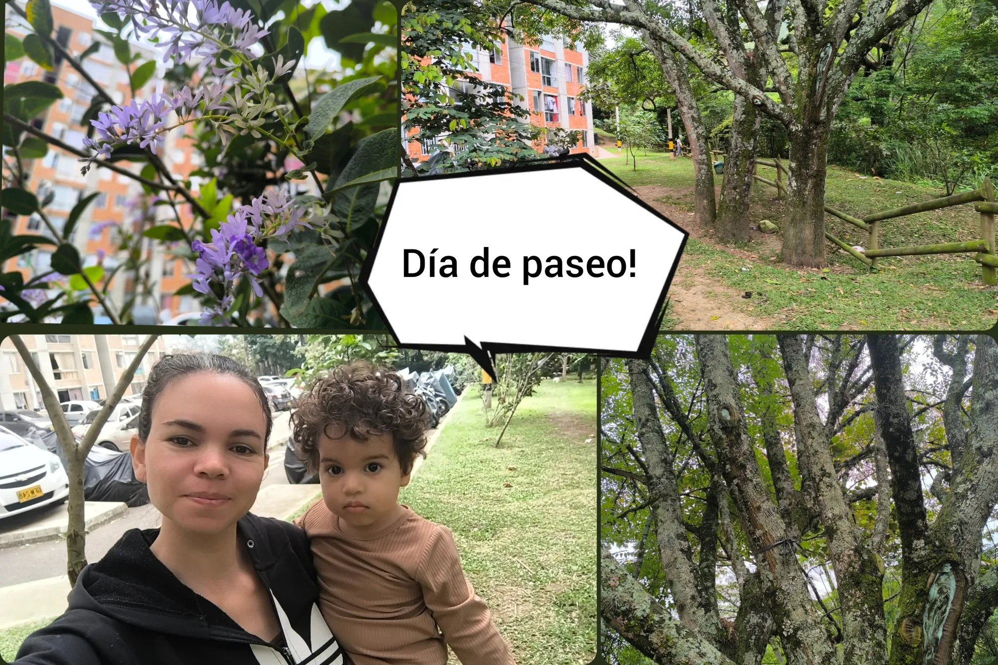 n2UQ1bWIVse…
Payout: 0.000 HBDOn a morning walk/ ESP-ENG
2025-08-31 22:35<liketuimages> <center> ![z55z6LcyxJ1In8zb_1000072725.webp