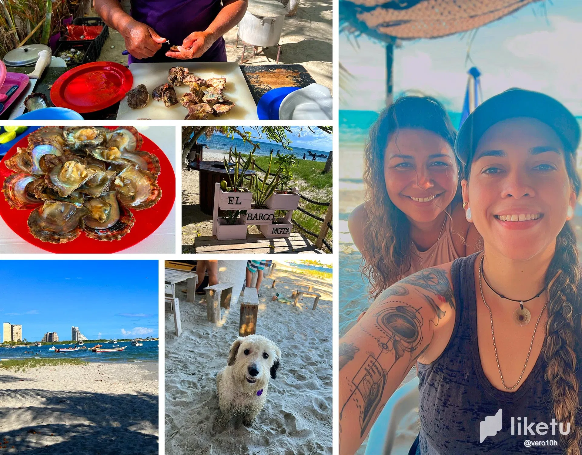 8i9GES…
Payout: 1.181 HBDSaturday with oysters, friends, beach, karaoke, and oysters at “Restaurante El Barco.”
2025-09-29 22:15<liketuimages> <center> ![GcfQQrJWyUOWRcdG_Sin-titulo-1.webp