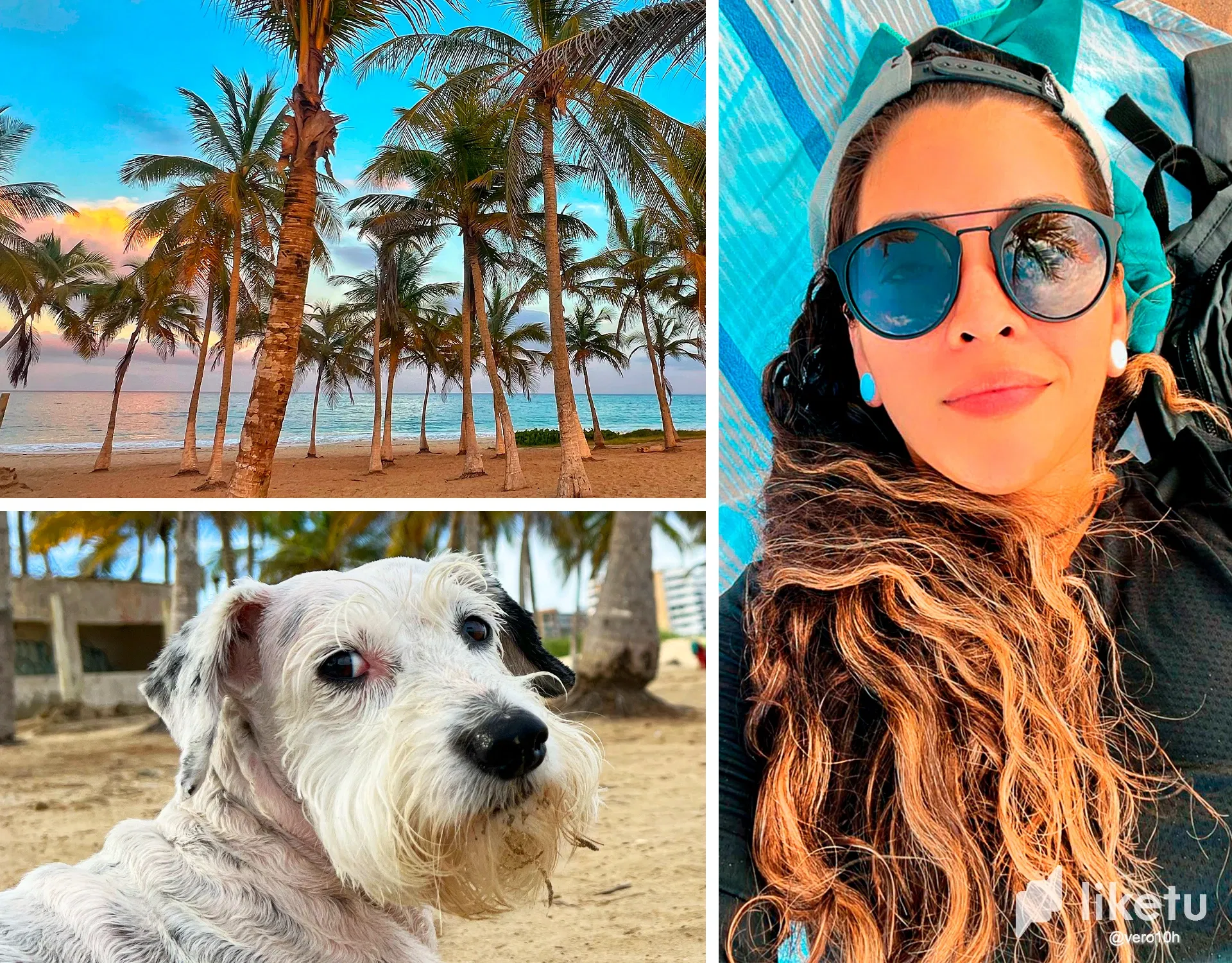 UhHWeF…
Payout: 0.000 HBDA day at the beach, siesta, and meditation lying in front of the sea with Luna
2025-09-21 05:05<liketuimages> <center> ![JouJdteU67KkOCLA_Sin-titulo-2.webp