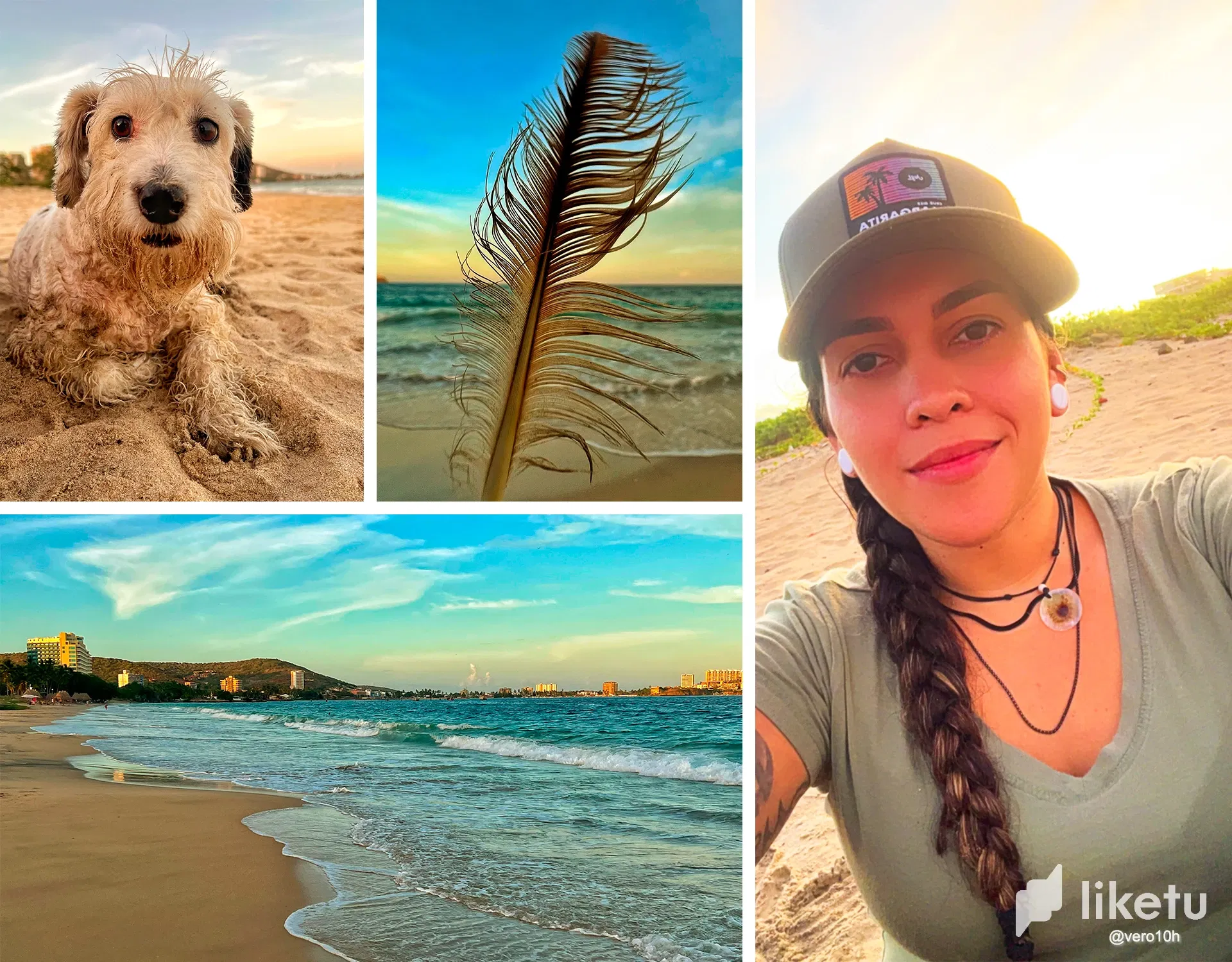 WZPl6u…
Payout: 0.000 HBDEl Ángel Beach: A Cozy Corner in Margarita to Enjoy with Your Pet
2025-10-13 22:49<liketuimages> <center> ![LaaErM9i3dBiLn20_Sin-titulo-1.webp