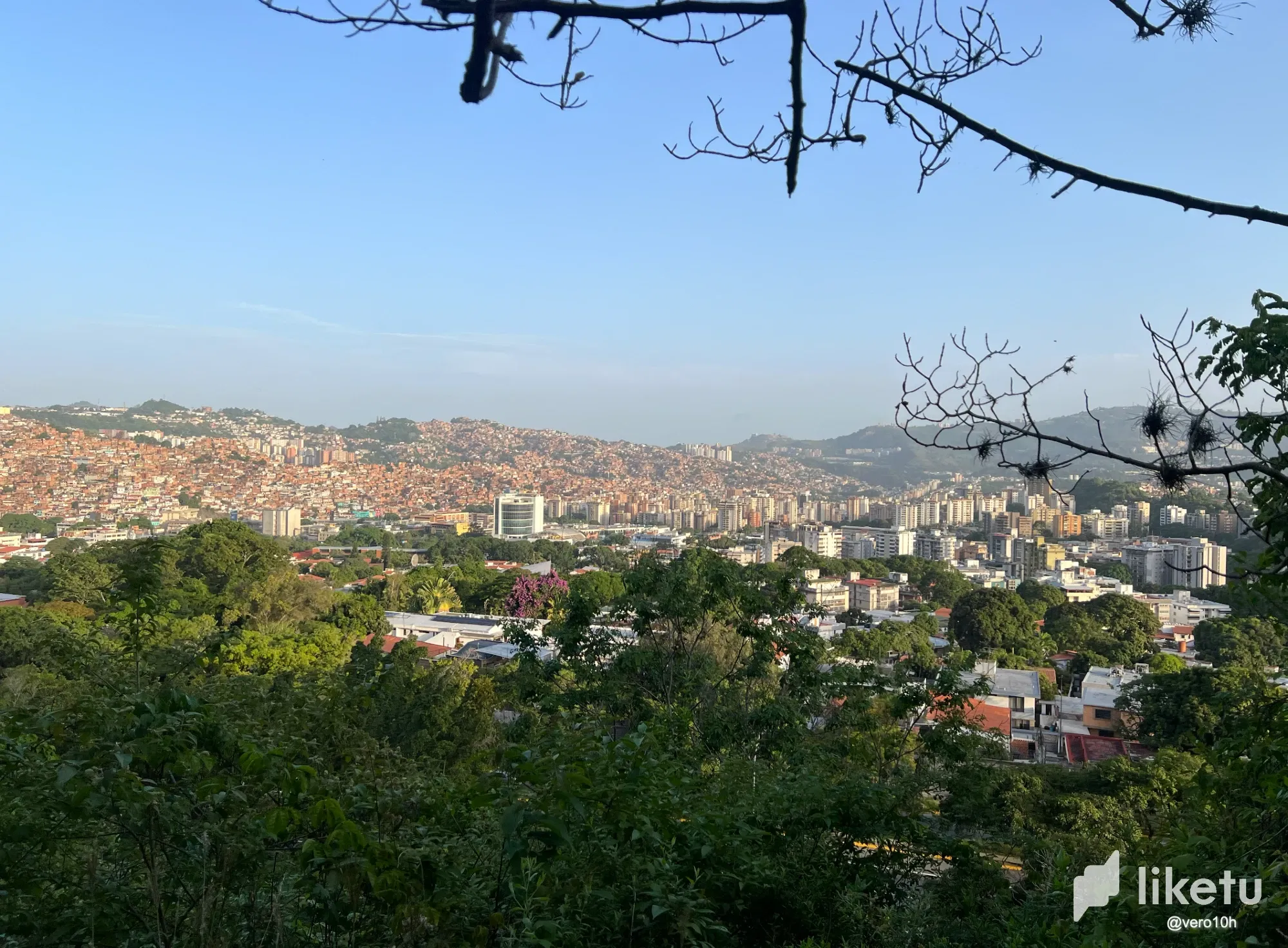 OrdiIOPuCavj9t7U_Captura_de_pantalla_2025-06-27_a_las_1.03.18a.m..webp