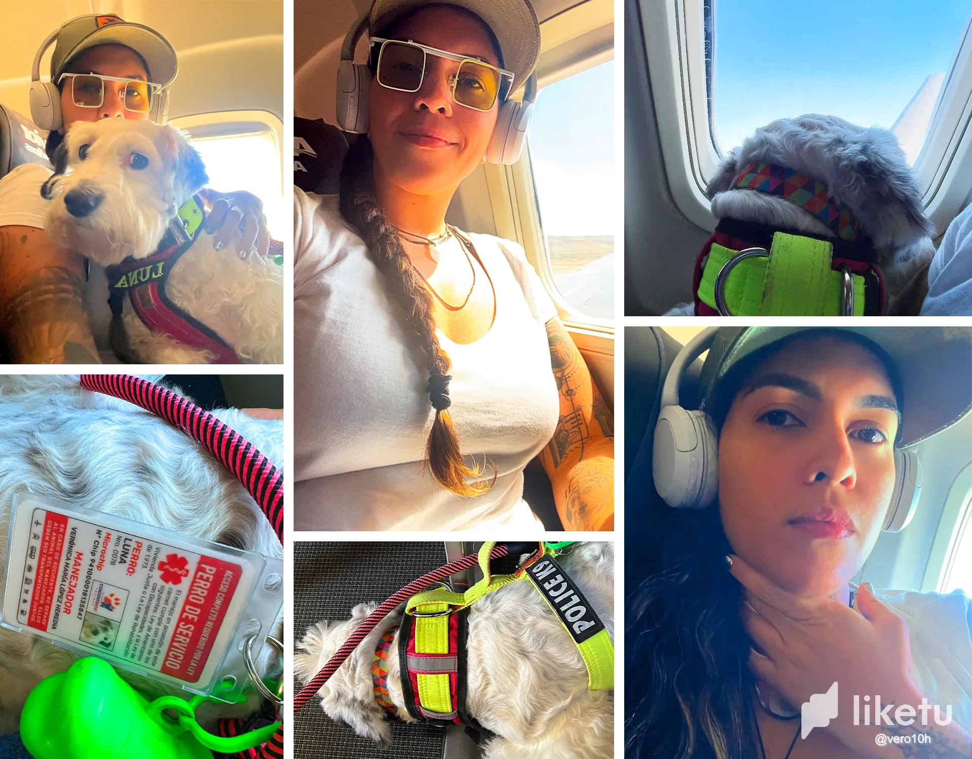 LNH0LS…
Payout: 0.000 HBDFlying from Margarita Island to Caracas with my pet Luna
2025-10-18 05:06<liketuimages> <center> ![cJpTOEVOvQJ9vVMN_Sin-titulo-1.webp