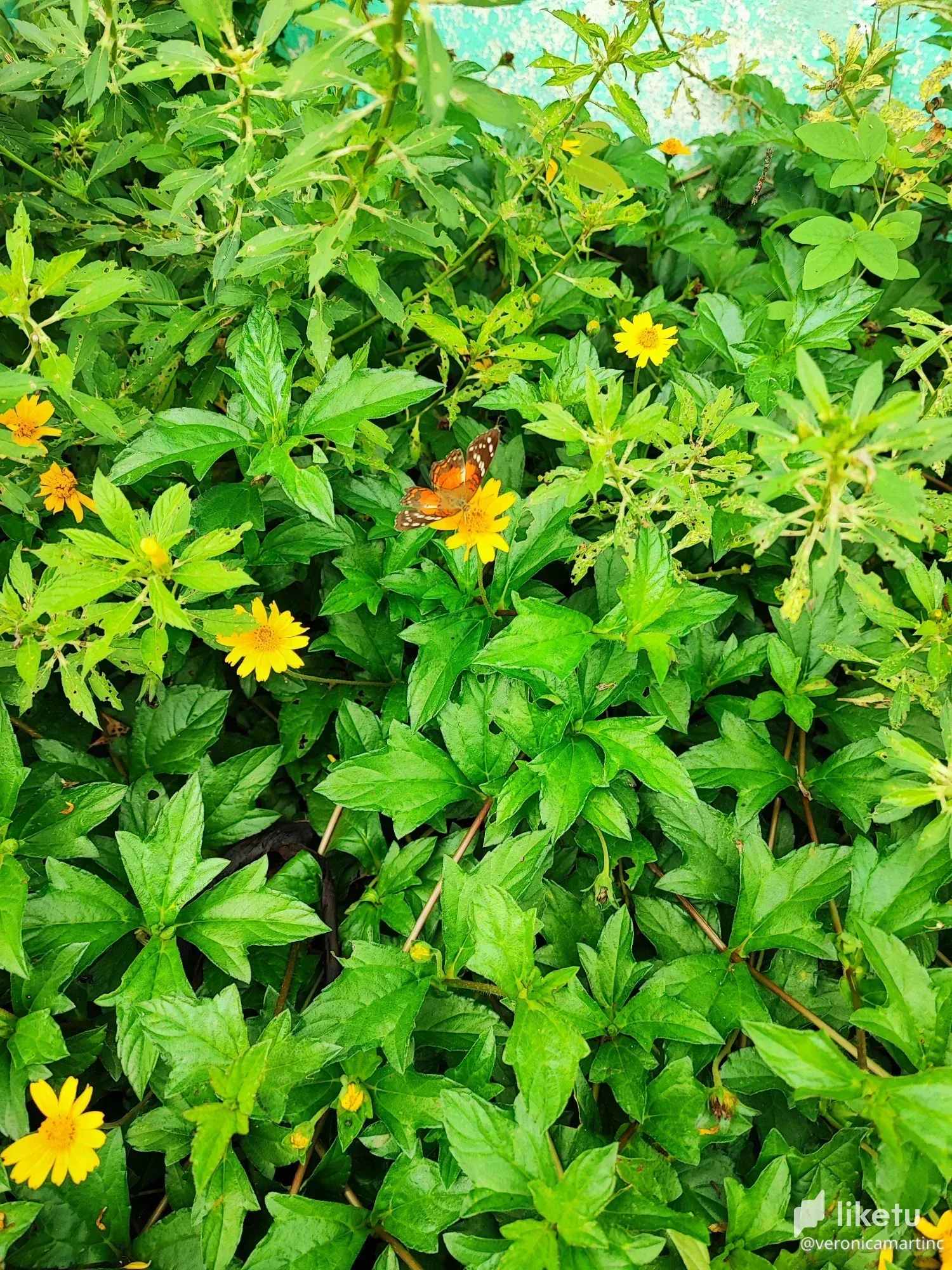 cl8iubczp01qm24kcdy0g65jc_IMG_20220814_110220.webp