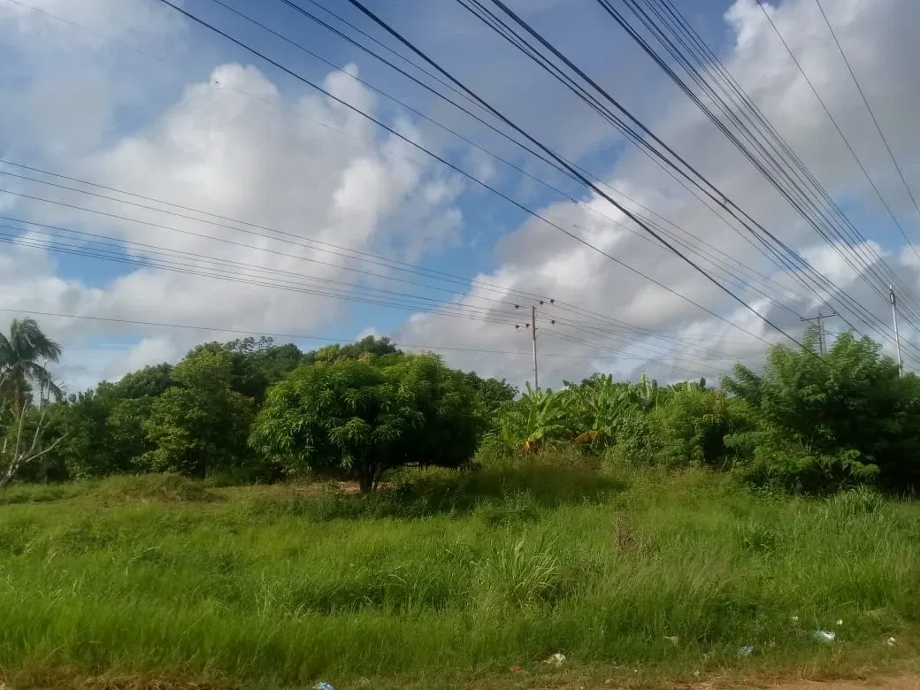 Rx8u2bJYHlGl37gk_IMG-20250905-WA0062.webp