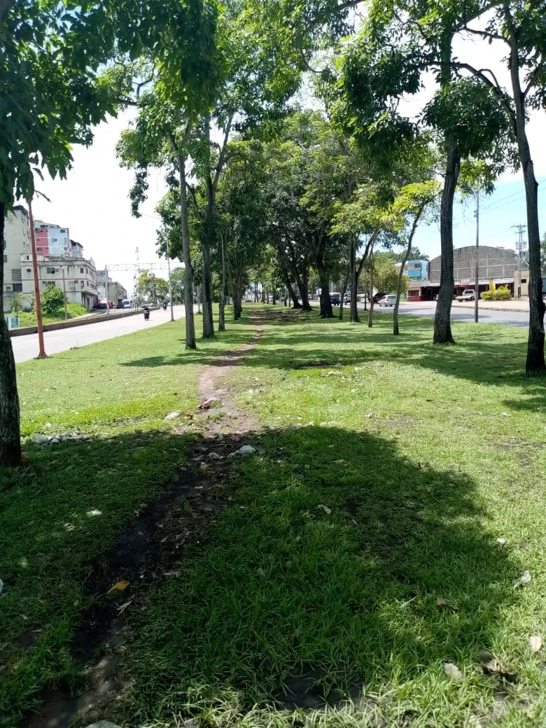 UeSVMY8amZBT98N0_IMG-20250911-WA0091.webp
