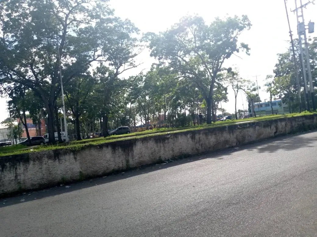 ap0Jynqyn7oltReF_IMG-20250802-WA0006.webp