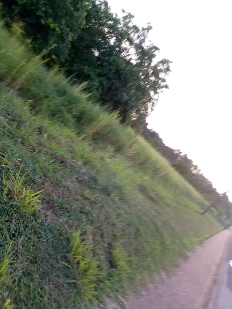 pWEHZbLrVy4jfDHO_IMG-20250921-WA0073.webp