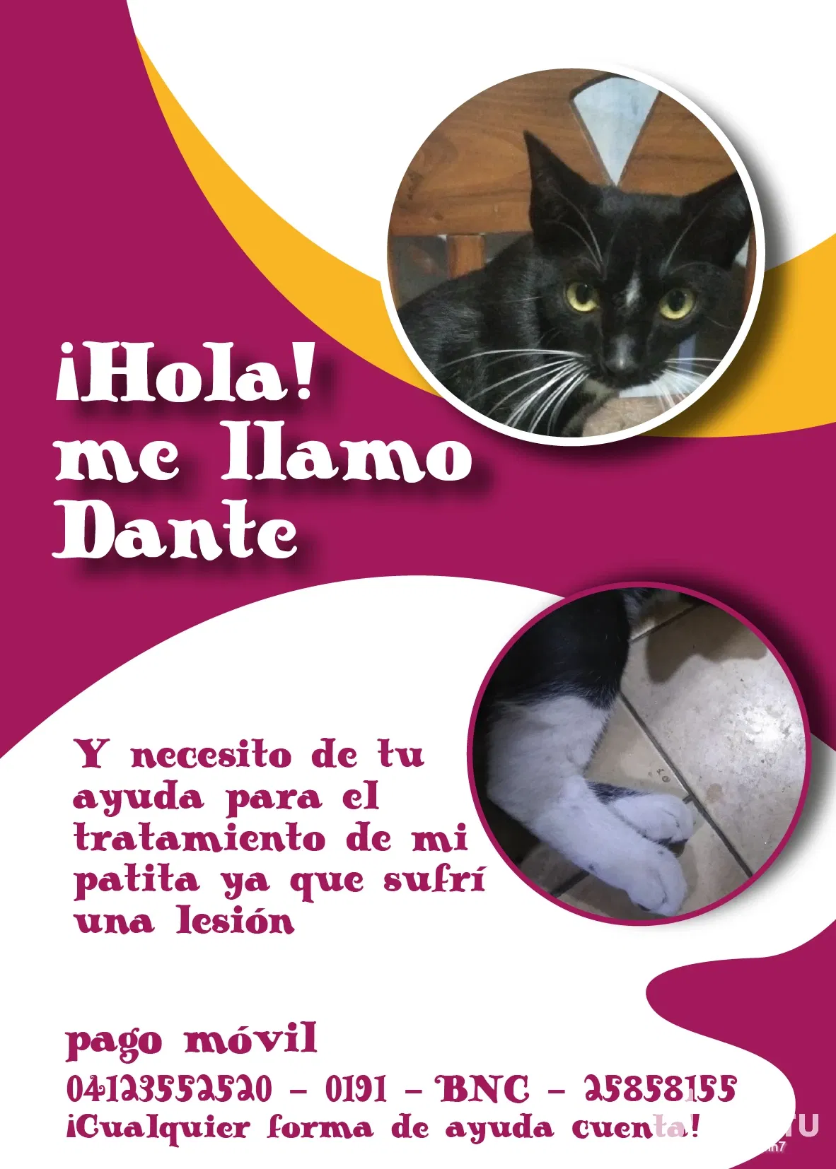 uPyBxQMXH7I6igqo_Dante_aydame_a_sanar_mi_piernita_Mesa_de_trabajo_1.webp/