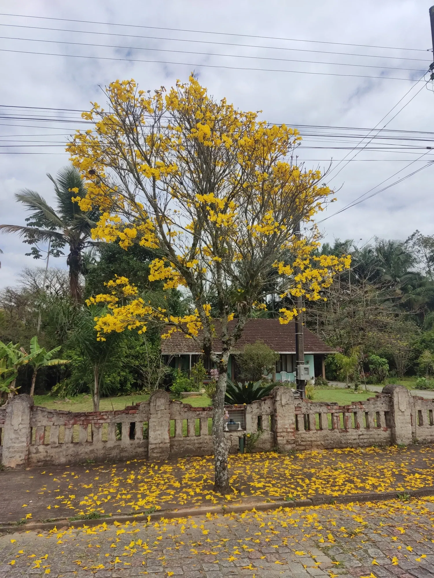 BfQgWRPxJeZrk9dJ_1000115532.webp