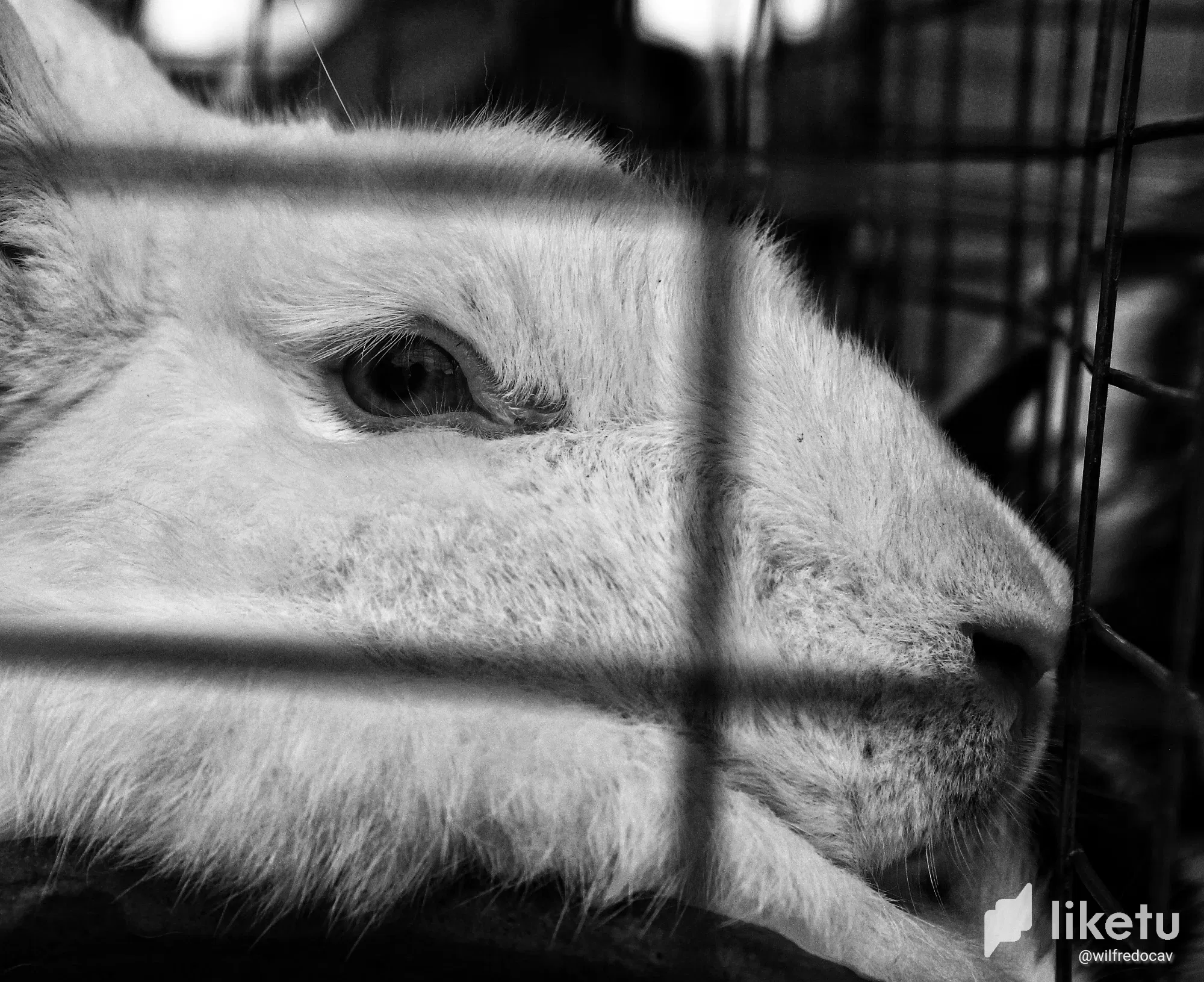 claxgt95h05vb1ymj9dj5gbw0_IMG_8895-02.webp