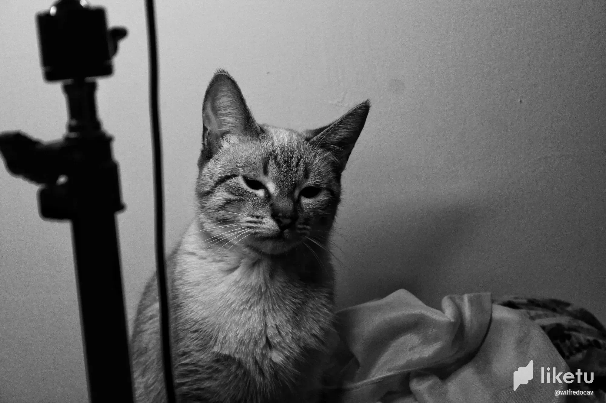 clch3wd4i000b7eszc8ro7yau_IMG_0391-01.webp