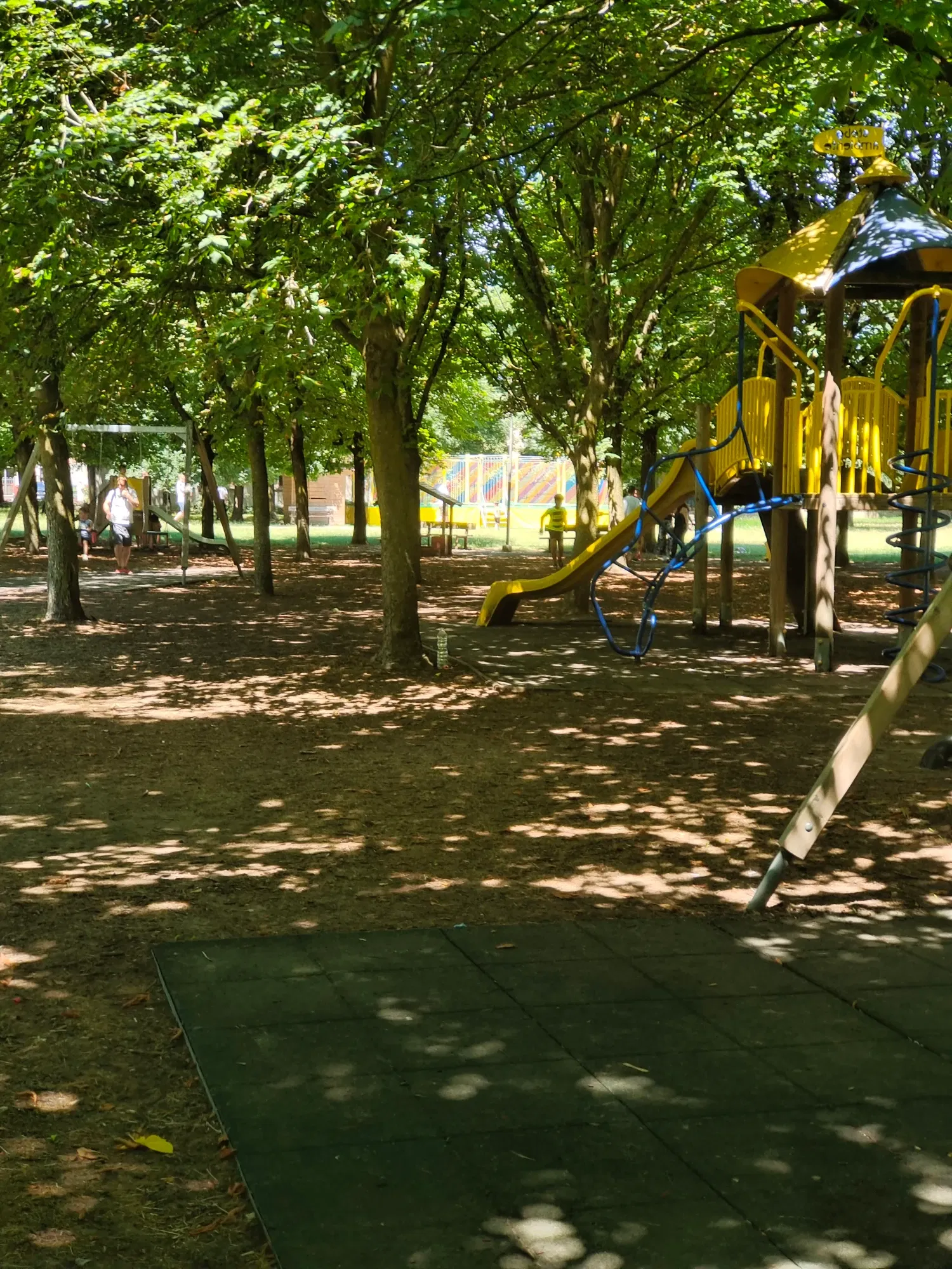 ubCtiqJT17b250Ac_IMG_20240630_121935.webp