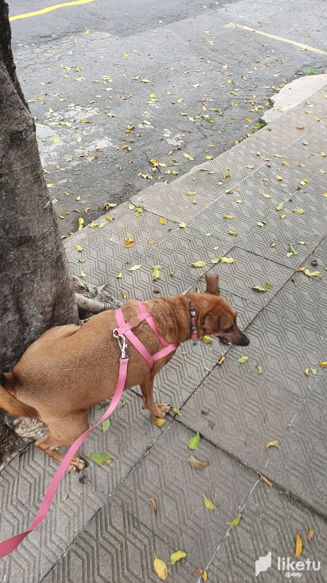 CVeMh8r00vRZYbs1_IMG-20250422-WA0175.webp
