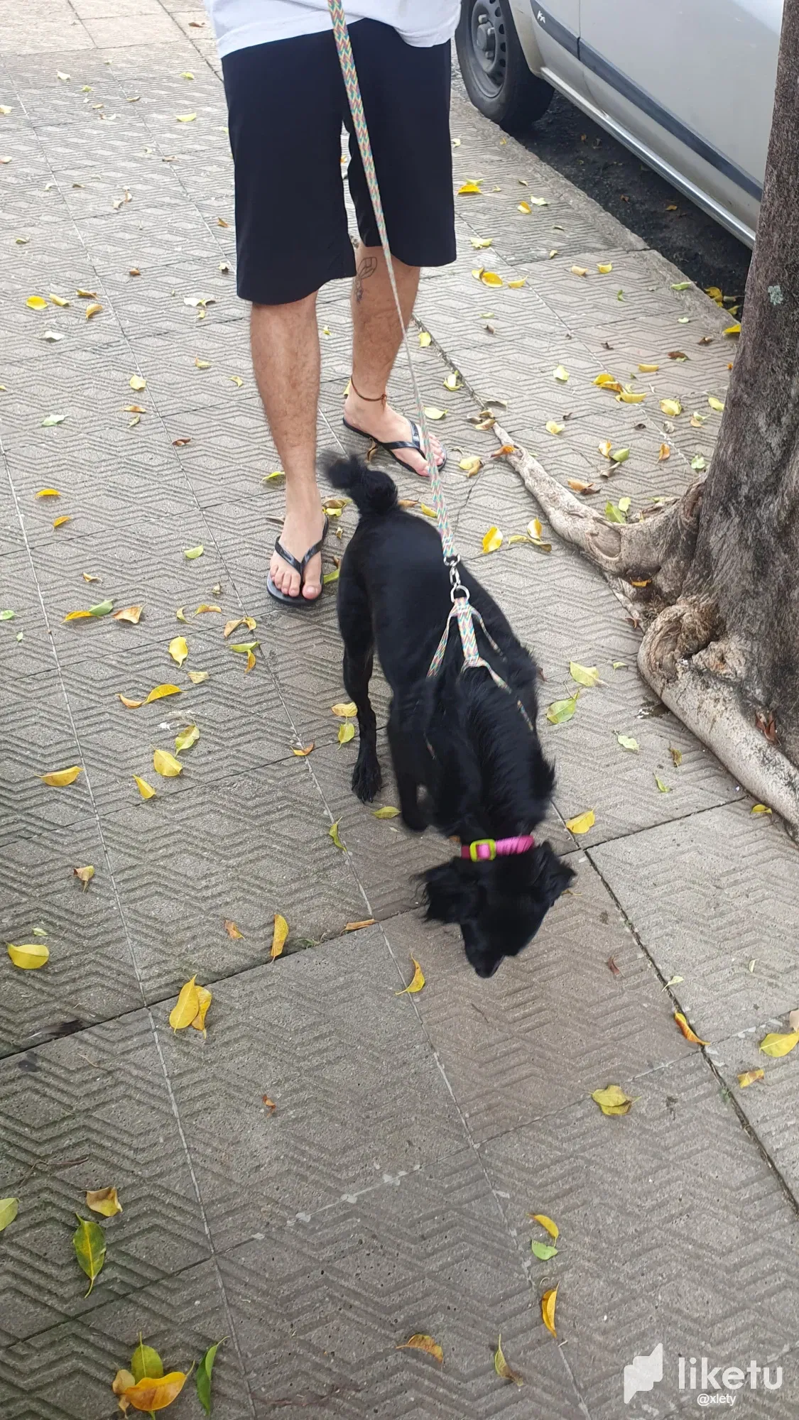 FeznGPVDVM1gIqrl_IMG-20250422-WA0170.webp