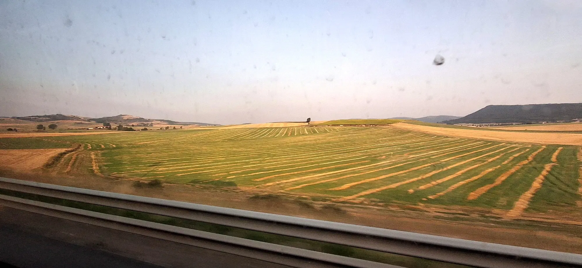 89I2TGI2LCjS5aOm_1000045874.webp
