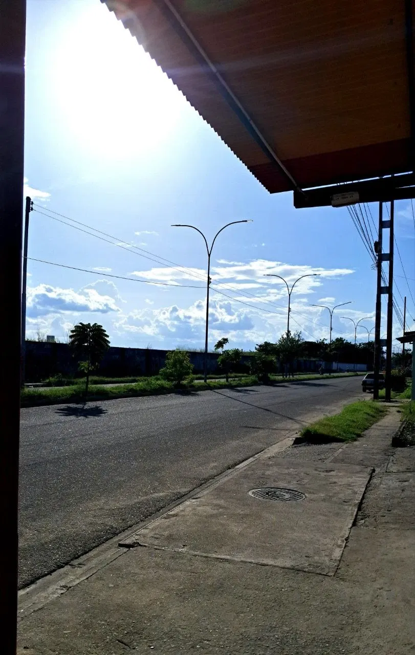 Iv9QdbWGDcjW1TX7_photo_4999028331668156310_y.webp