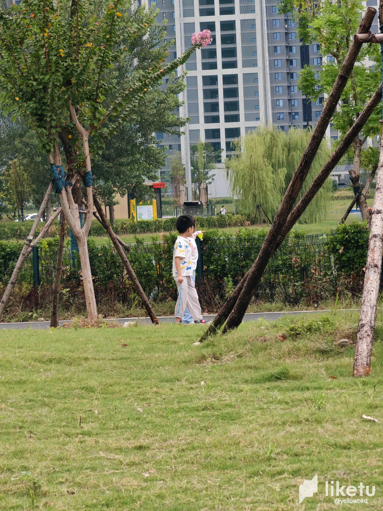 ONAyAe0MxO0QT4vL_IMG_20250913_093020.webp