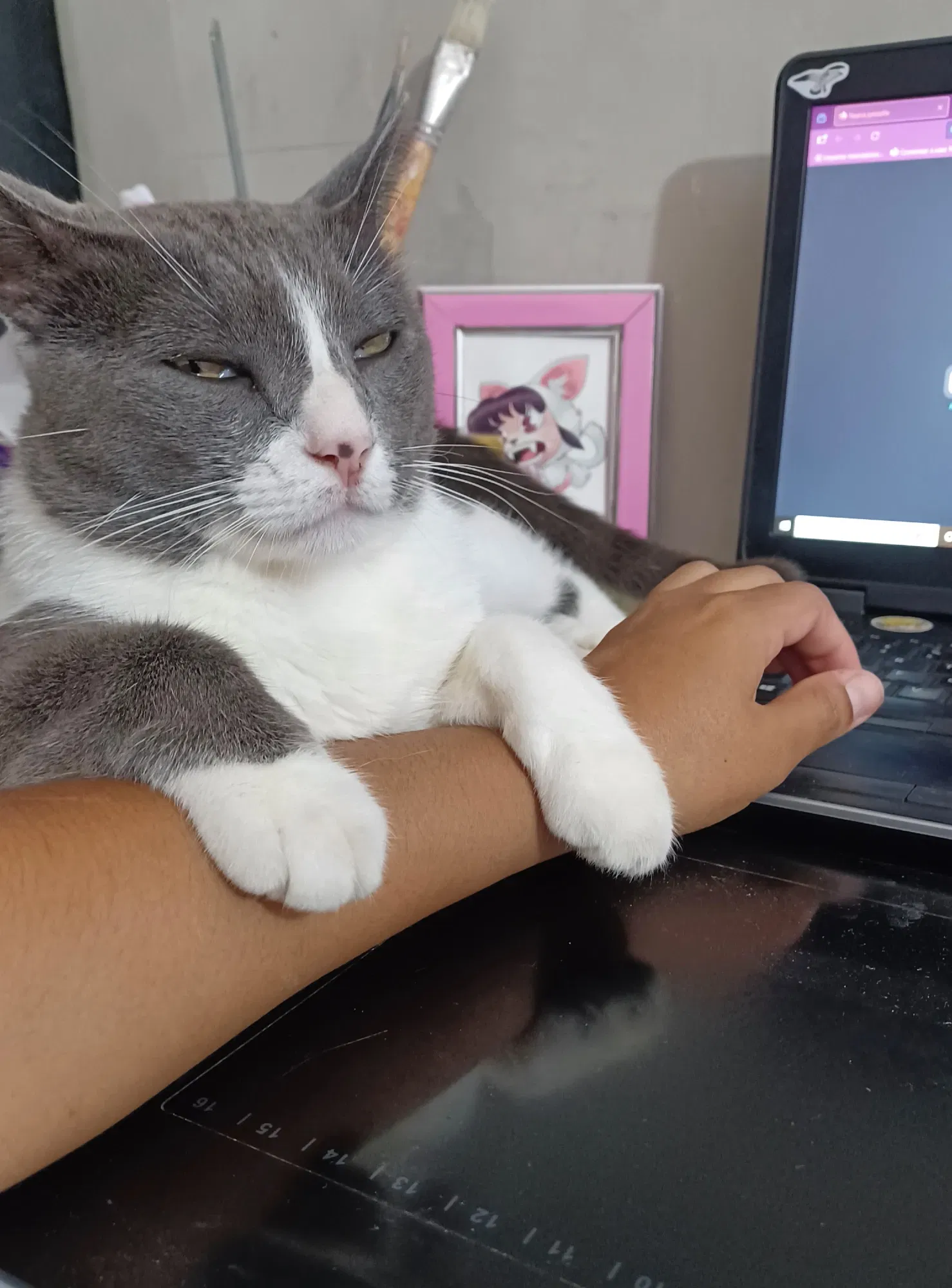 1NDhdLOqN9i8ZPF0_20250830_105005.webp