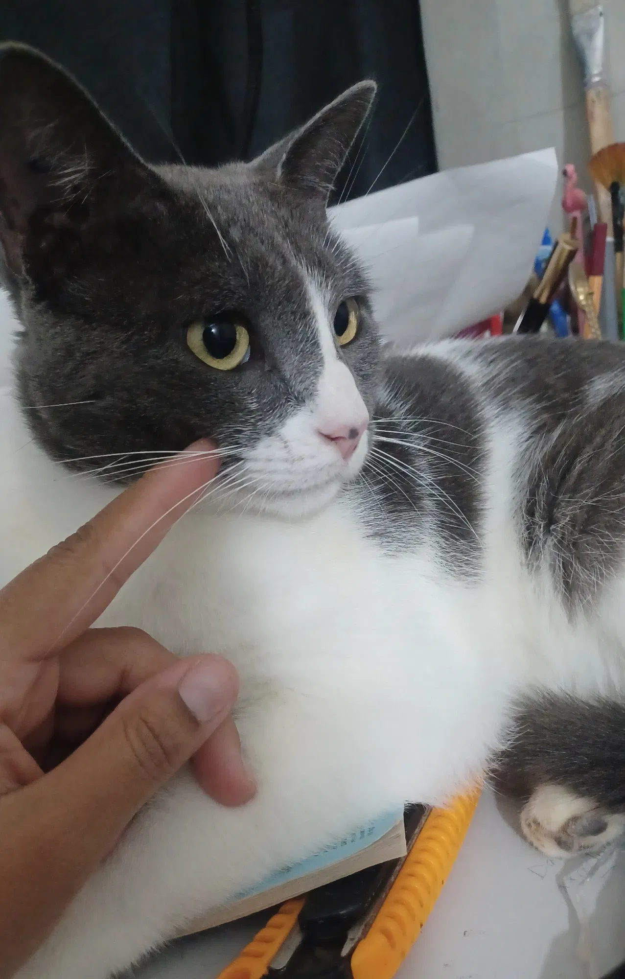 aYYKudqQ4R78jxJg_IMG-20250825-WA0016.webp