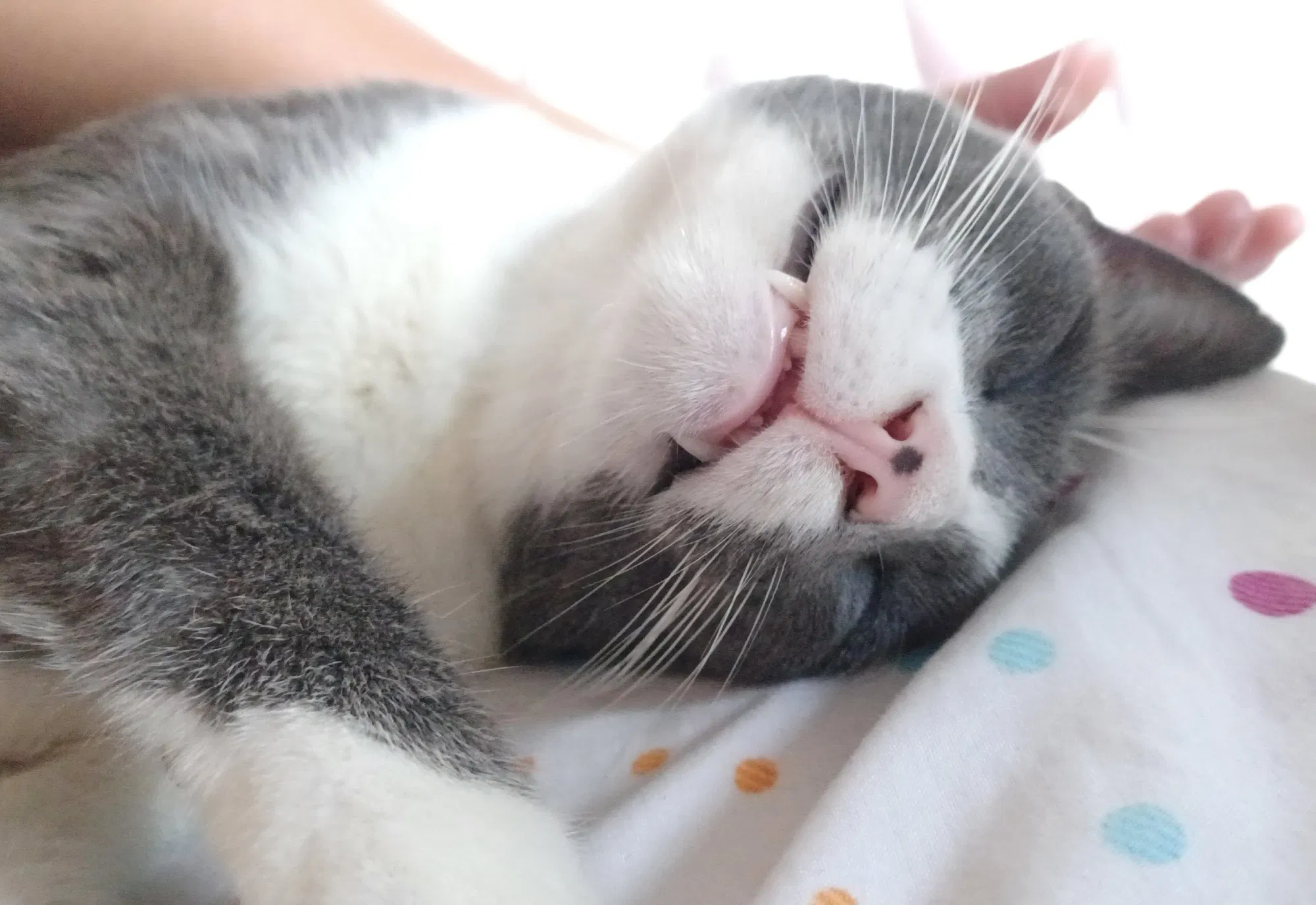 nt4yW5xeWwqmR0rC_20250806_165944.webp