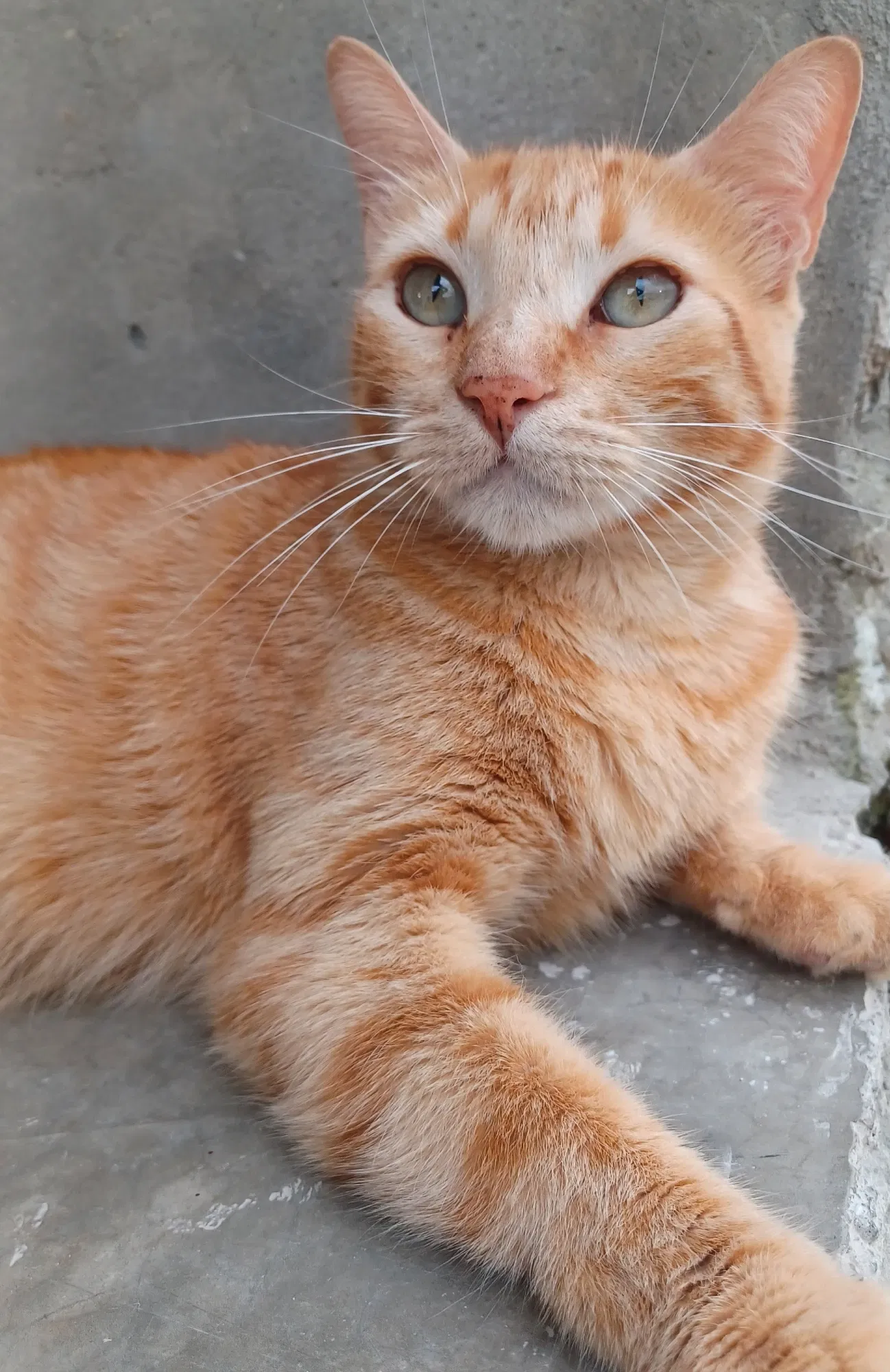 tiXi5qkGQ104K8XR_20250730_182029.webp