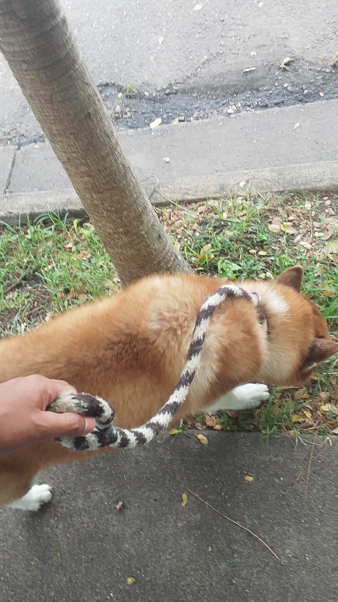 AtLyUUoUGmAYb7pT_IMG-20250825-WA0015.jpeg
