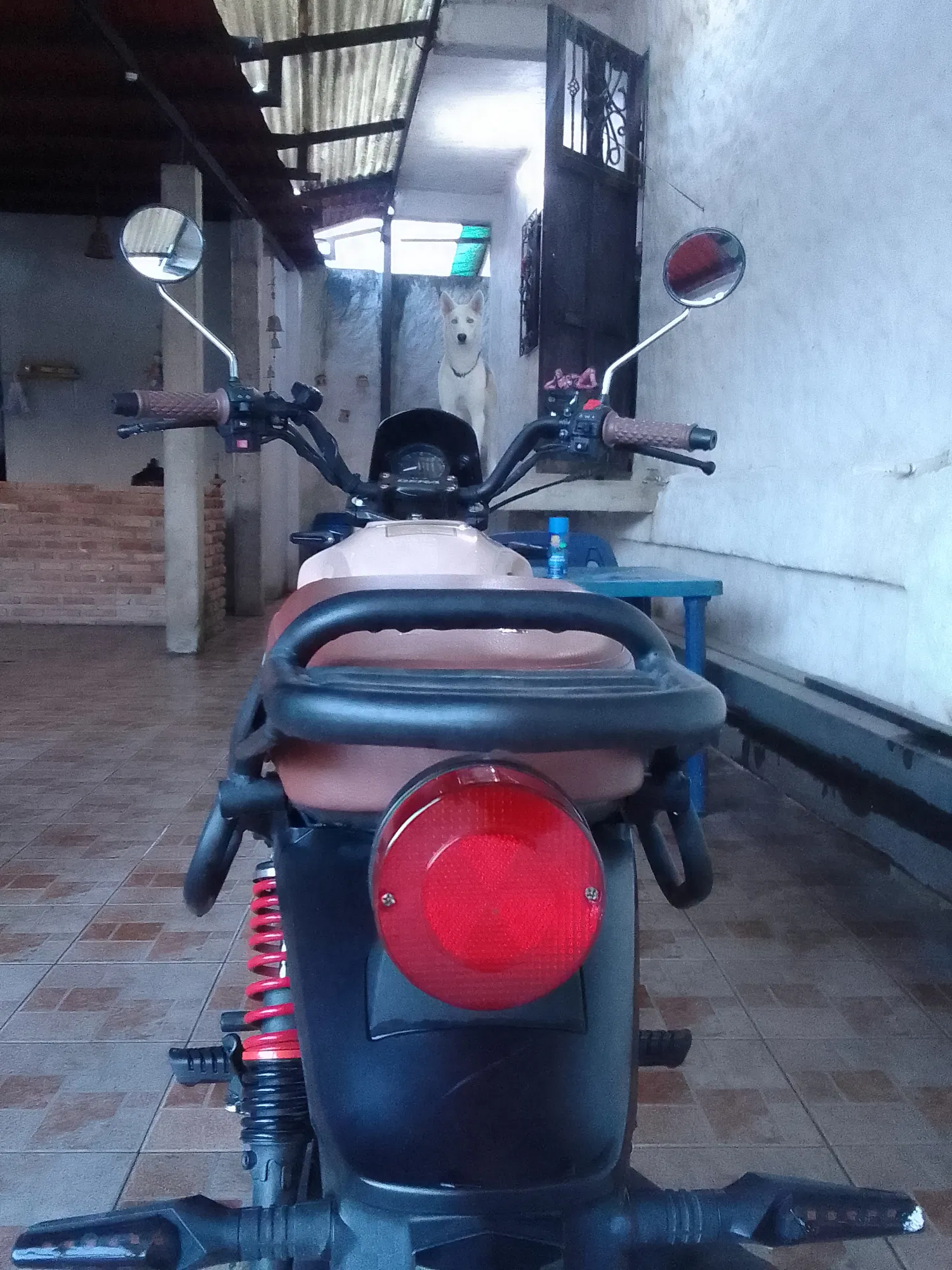 Shine On, My Iron Soul // Brilla, Mi Alma De Hierro