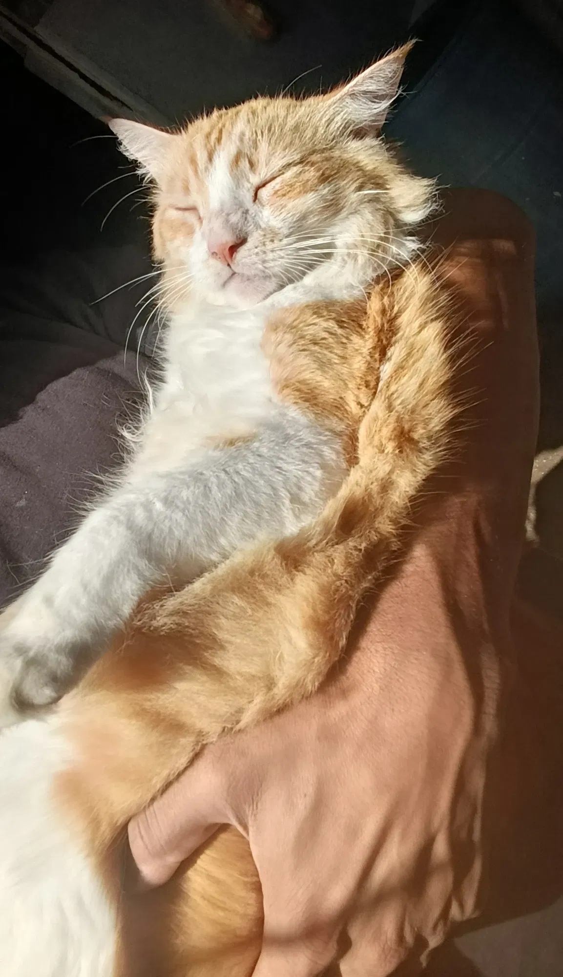 Forever time to sleep 💤