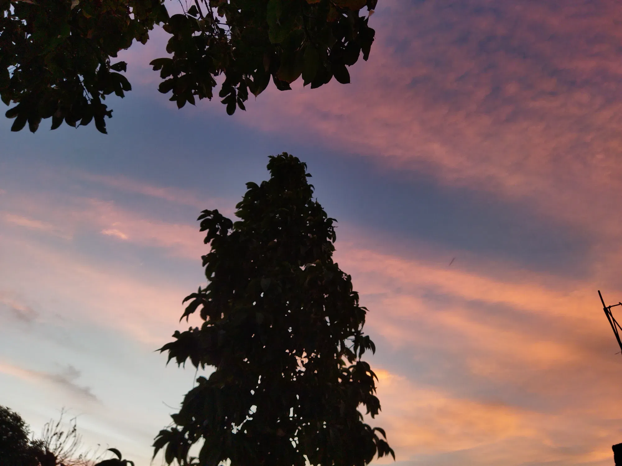 The beautiful sunsets that Cumaná gives me! 🙌🖼️