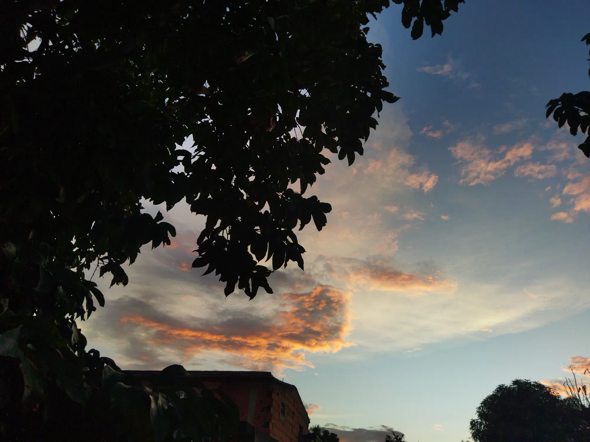 VKf9k7RKNCbnnQ5i_IMG_20250924_172405.webp
