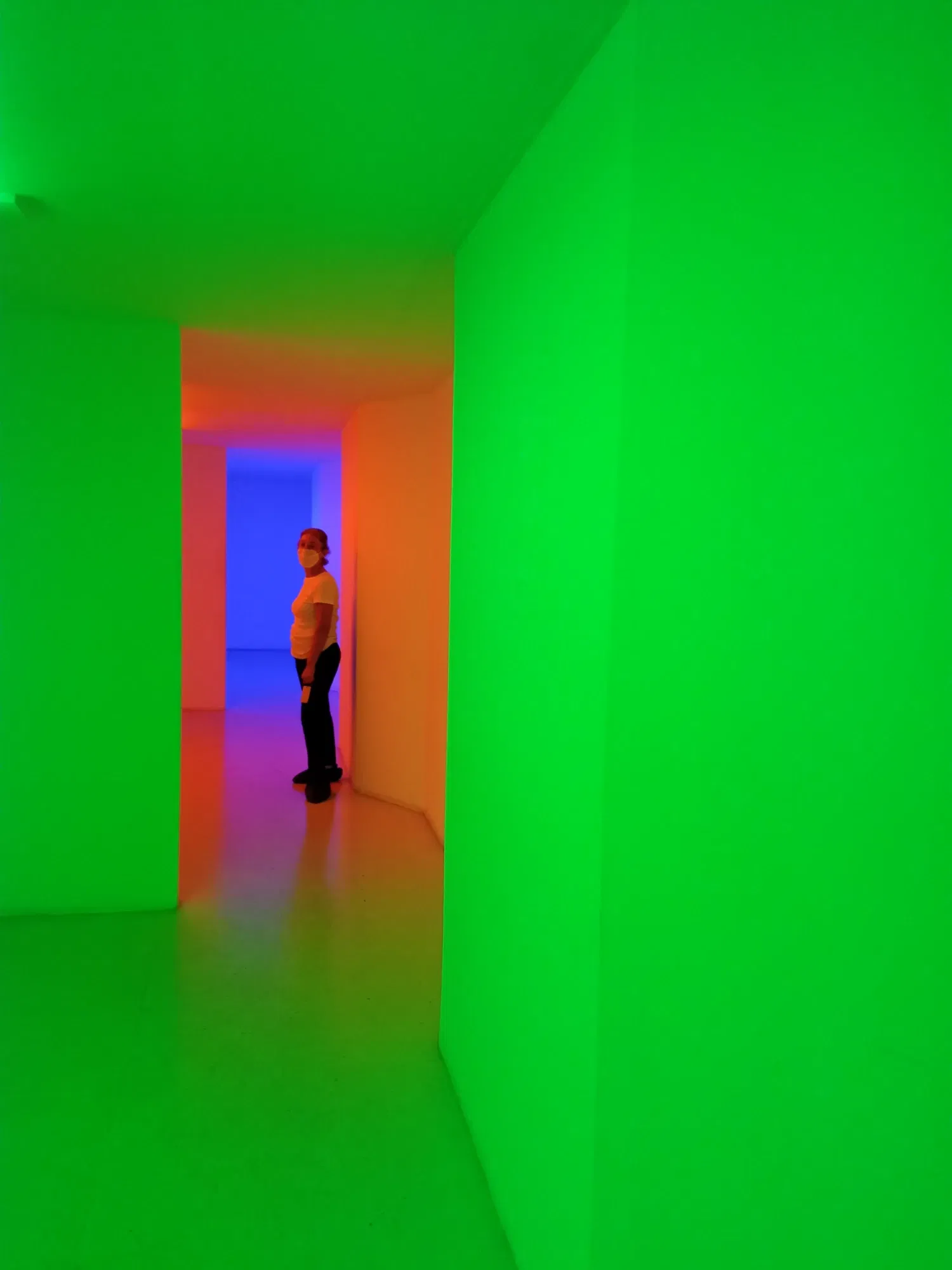 huITVIcYzFIhRXx6_Gladys_Yunes_Cmara_de_cromosaturacin_de_Carlos_Cruz-Diez_Museo_Cruz-Diez_2022.webp