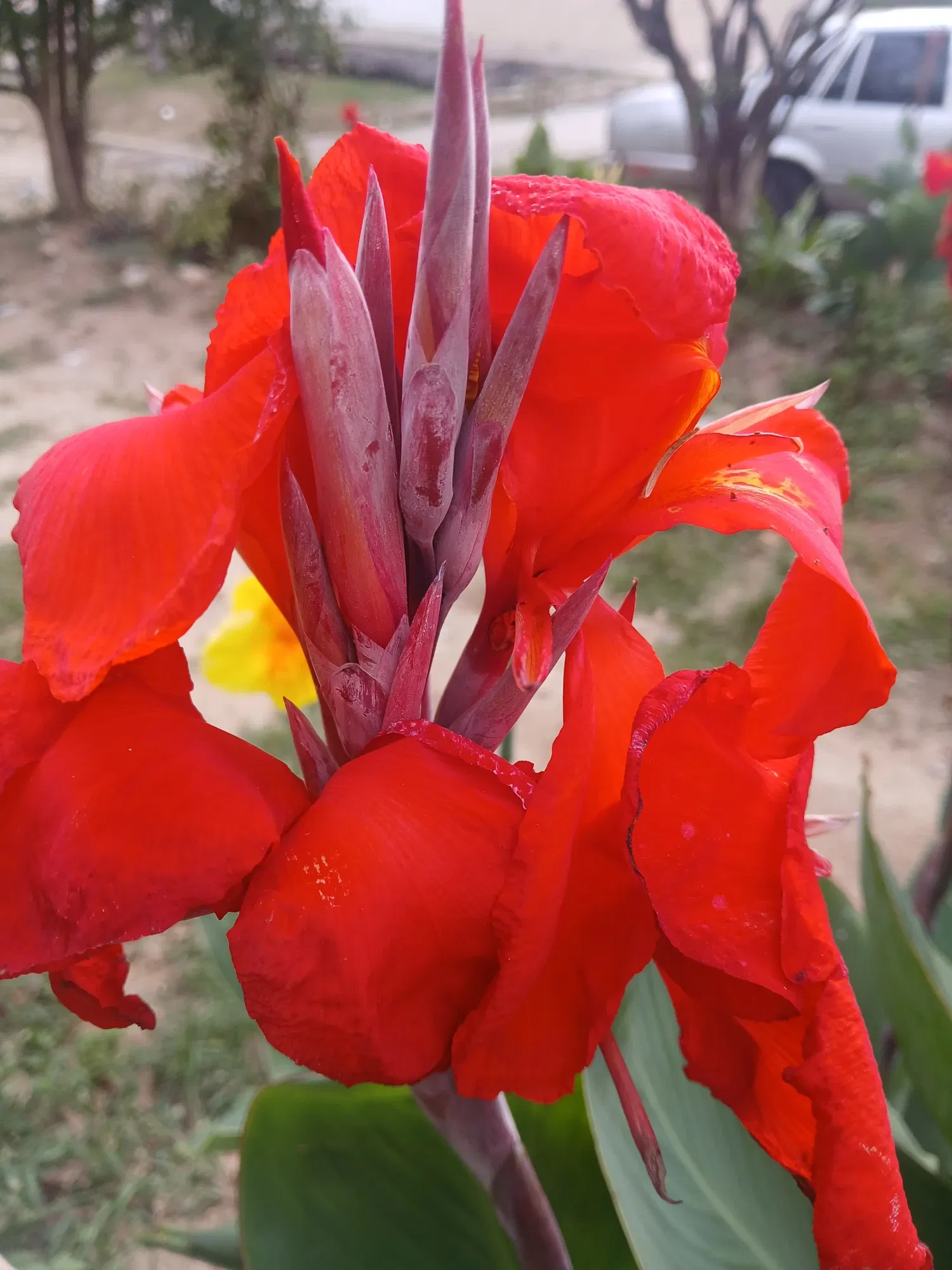 PxcbDLB0ekVlUSIz_1000534313.webp