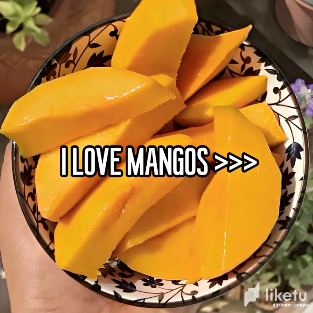 4q1eV0tSgI3551Zk_bd38b7e2-9292-40f1-99d7-9dcdf4c9a4bc.webp