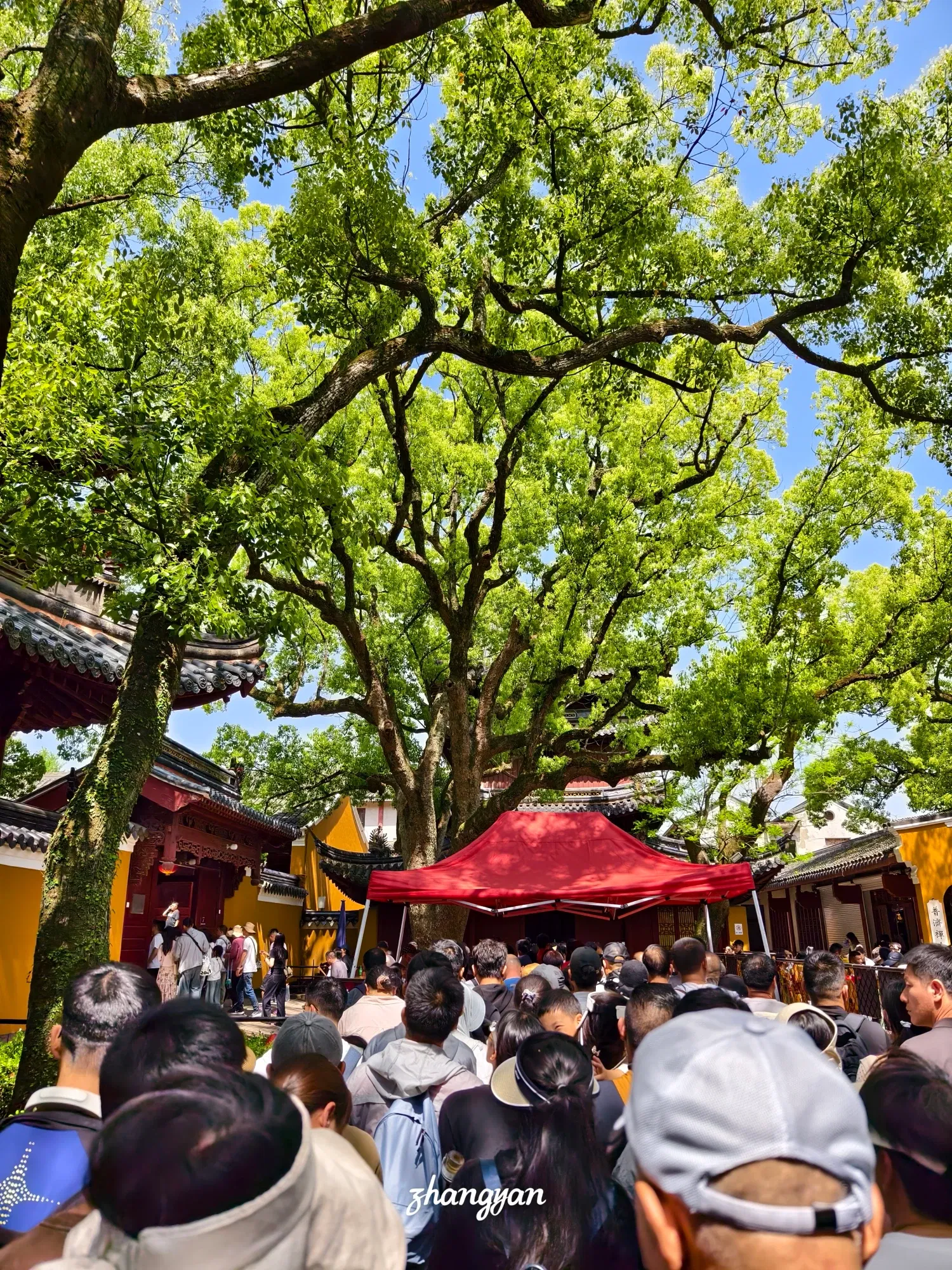 0zsPcb5y16TW3tNc_1000035068.webp/