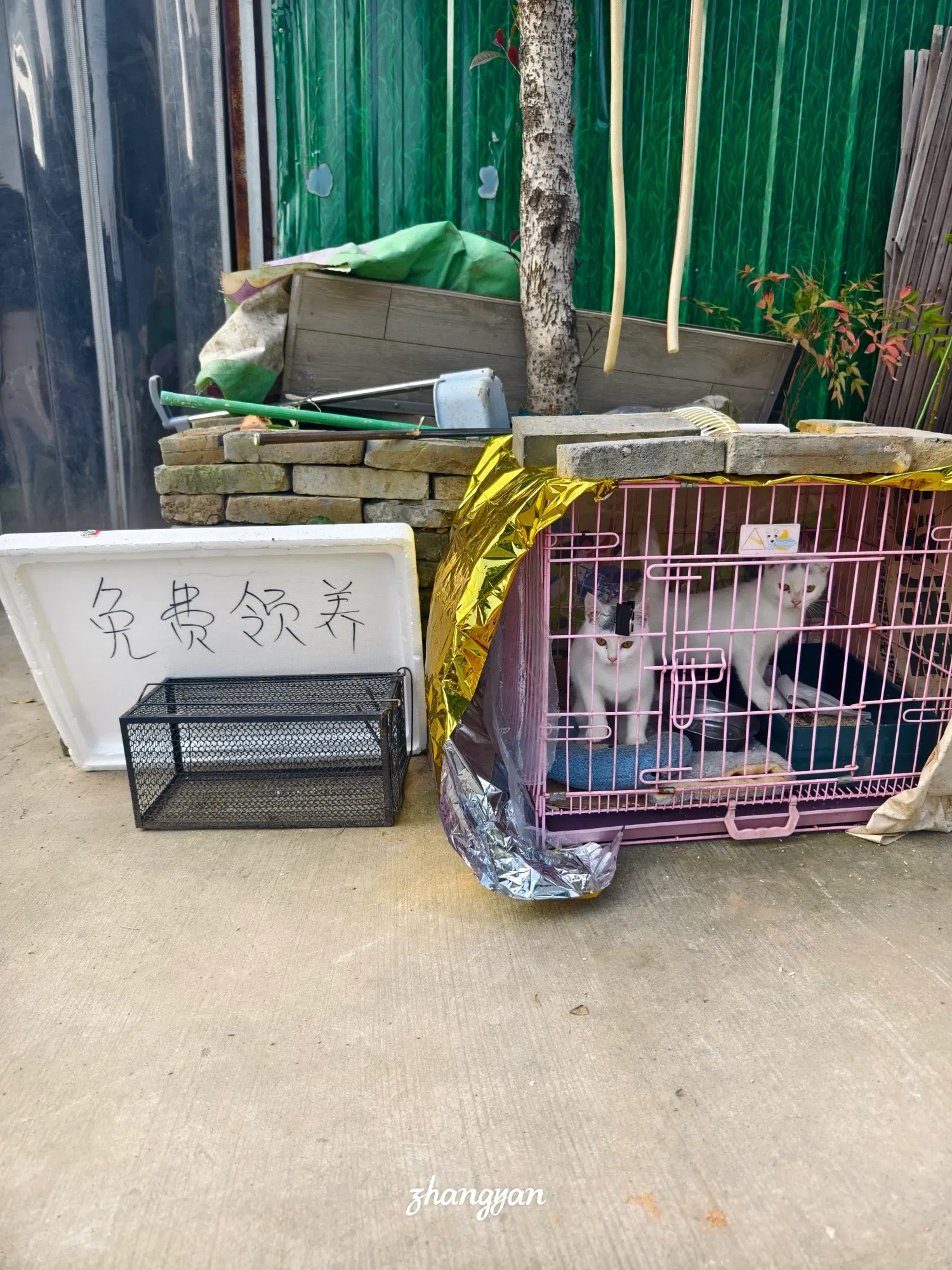 so6MflE…
Payout: 9.049 HBD可爱的狗狗猫猫
2025-10-29 07:14<liketuimages> <center> ![3W93dRLReIYLrwyU_1000043686.webp