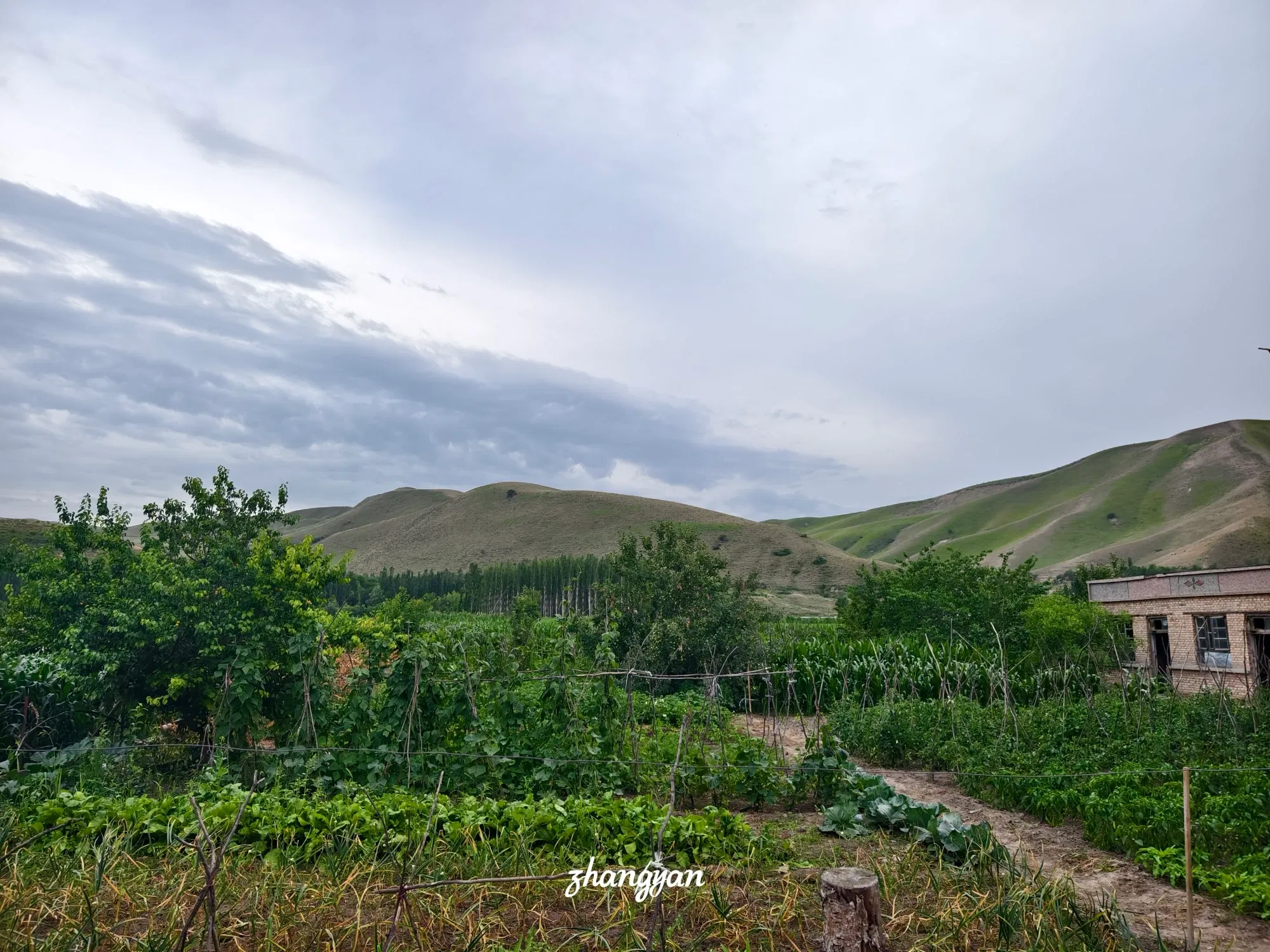 PlqgsyzO7NiTWVwz_1000037835.webp