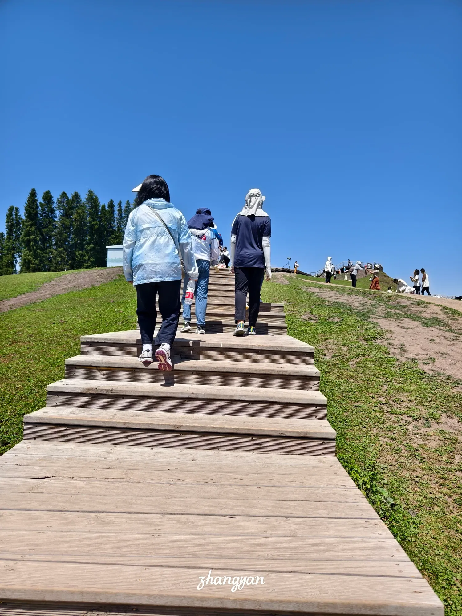 TtufFDUzQvKtH720_1000037771.webp