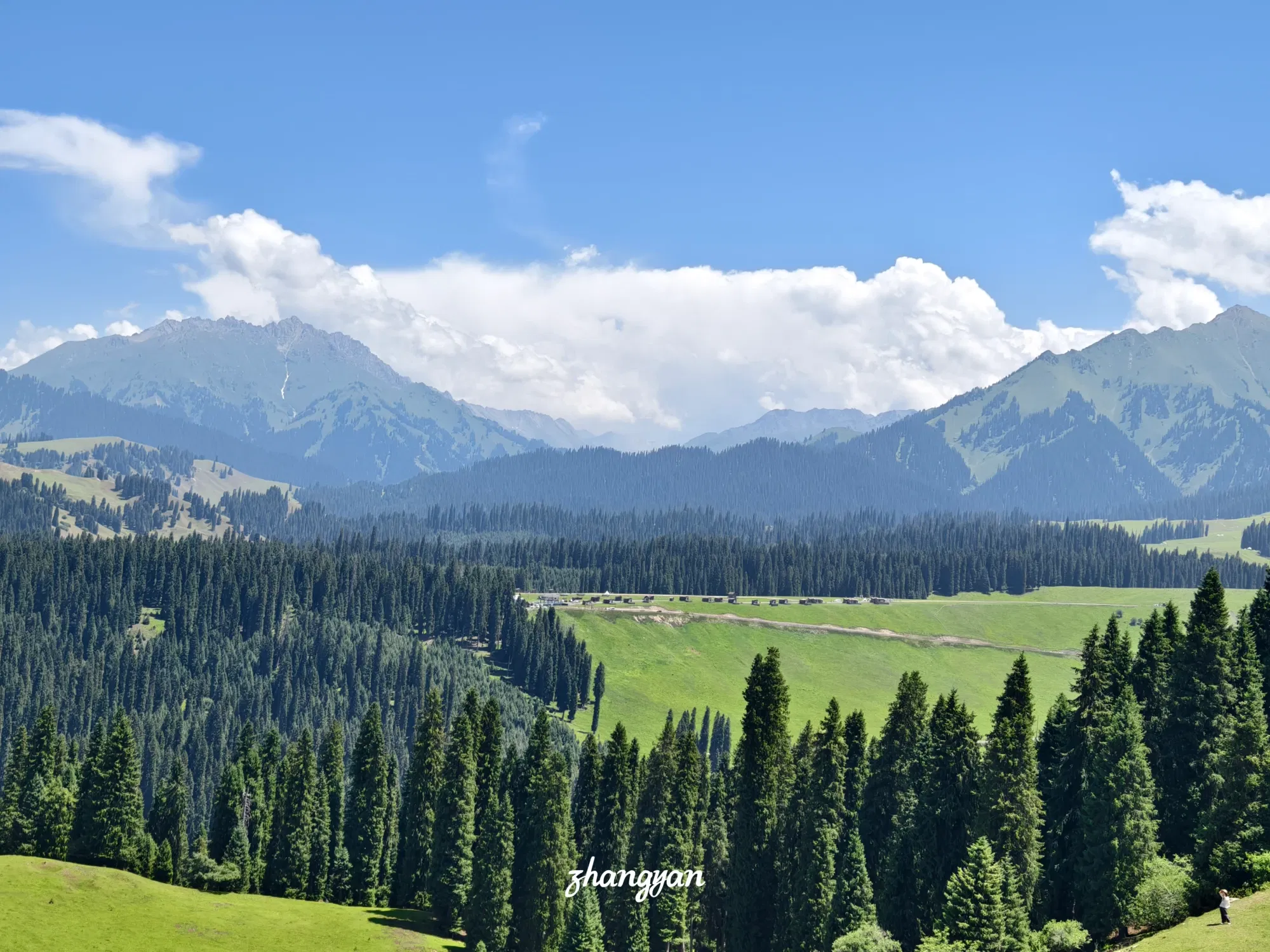 dWioiLokNzM5WK4Y_1000037795.webp